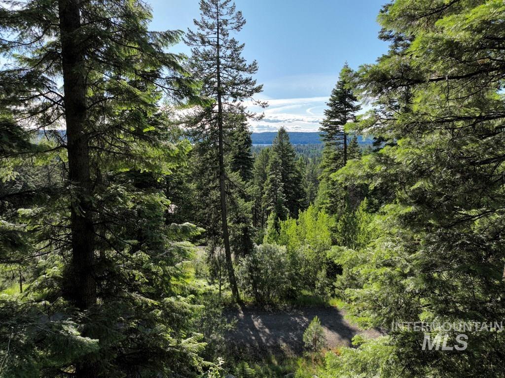 1615 Majestic View Dr., McCall, Idaho 83638, Land For Sale, Price $300,000, 98977650