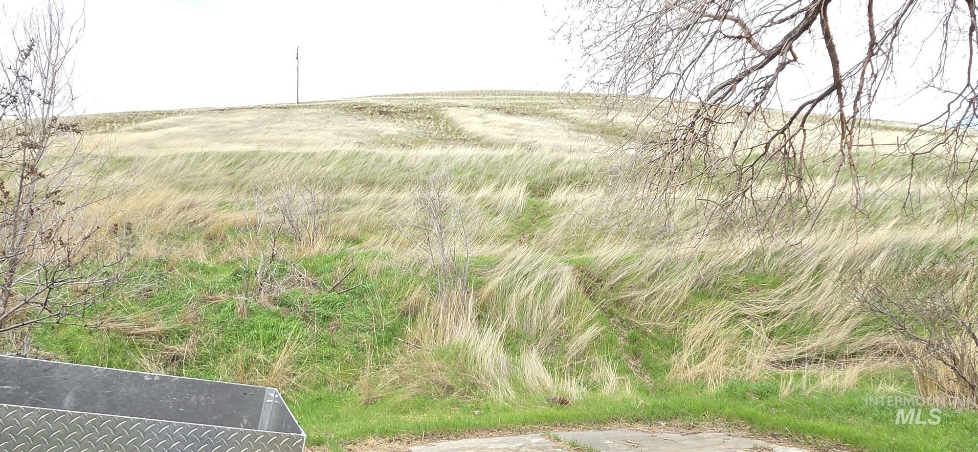 1269 Main Street, Pomeroy, Washington 99347, 5 Bedrooms, 3 Bathrooms, Residential For Sale, Price $389,000,MLS 98977659