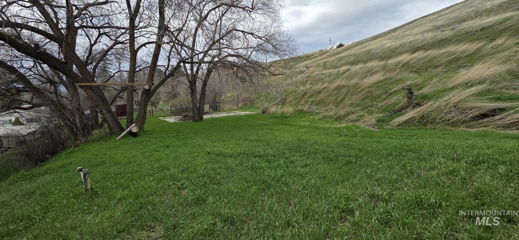 1269 Main Street, Pomeroy, Washington 99347, 5 Bedrooms, 3 Bathrooms, Residential For Sale, Price $389,000,MLS 98977659