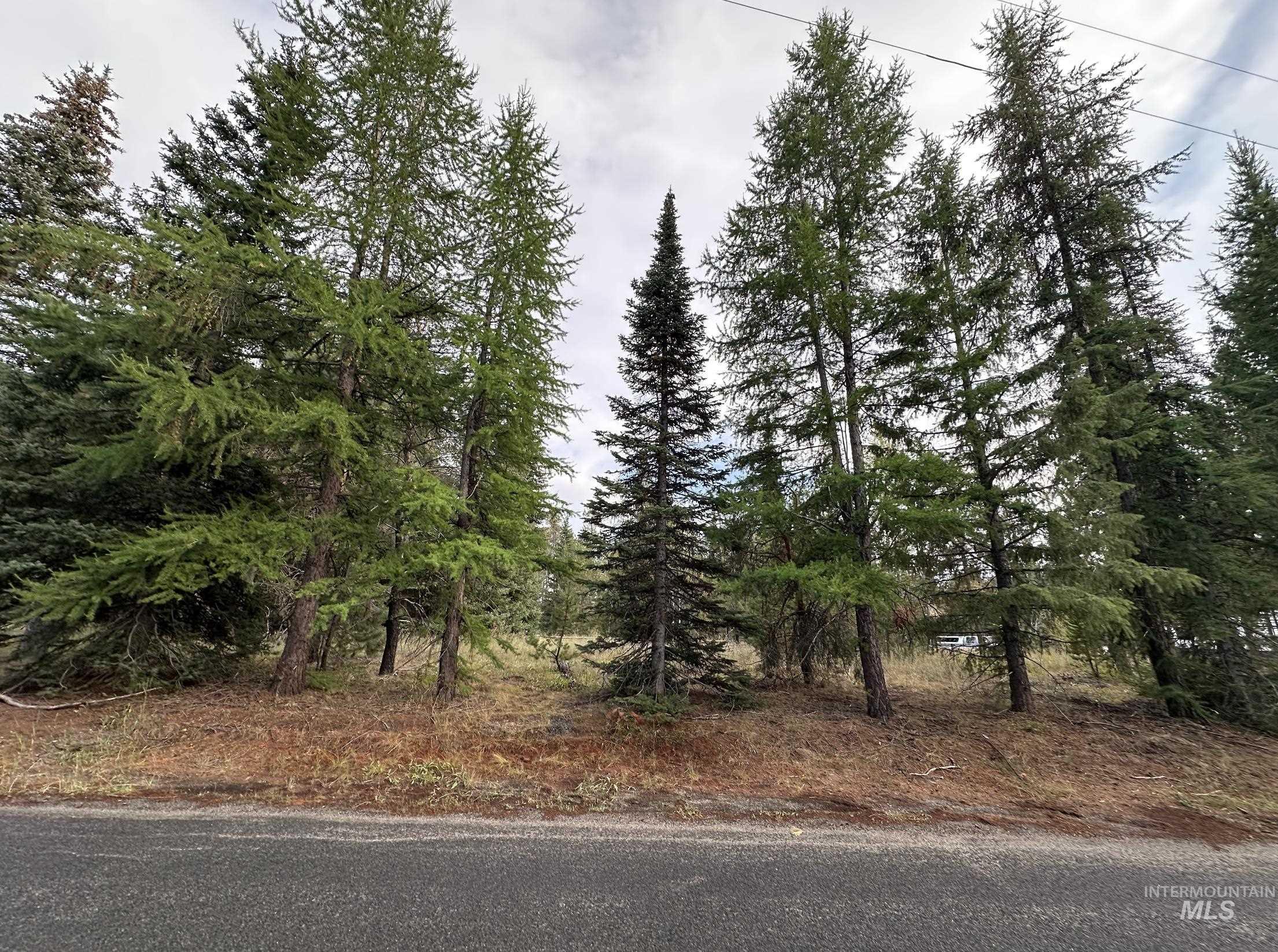 12960 Dawn Dr, Donnelly, Idaho 83615, Land For Sale, Price $350,000, 98977739