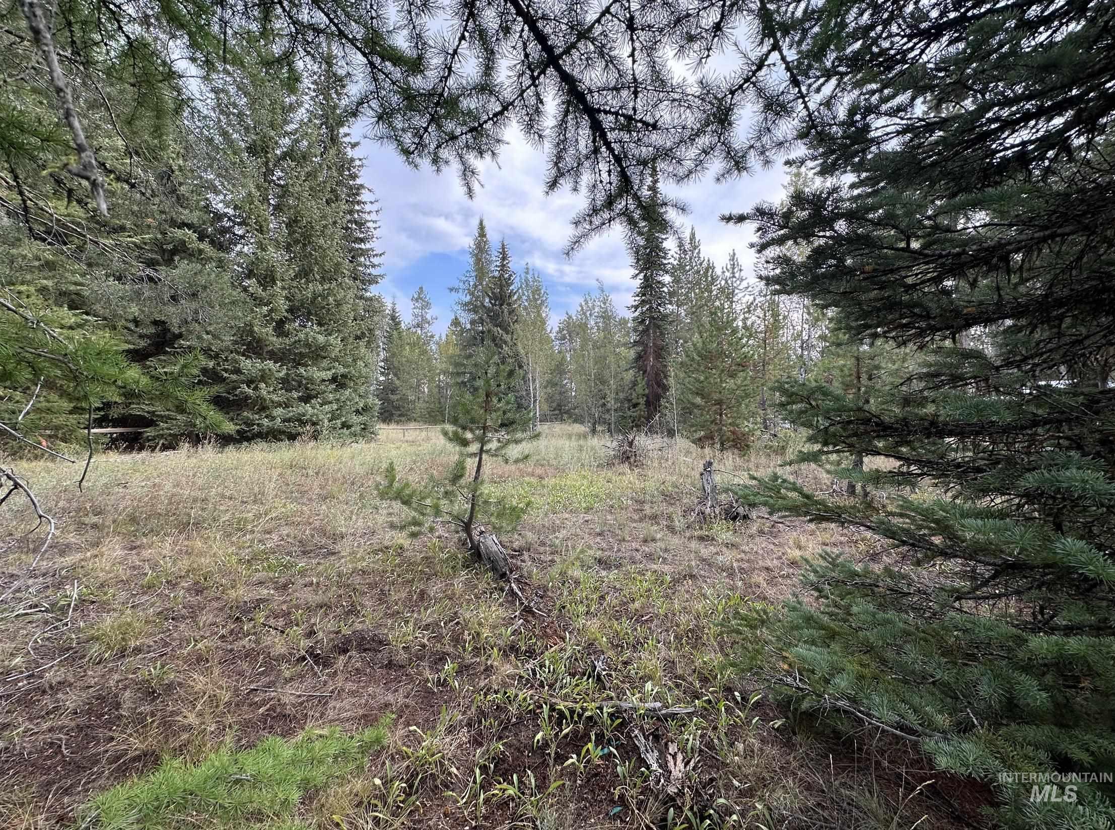 12960 Dawn Dr, Donnelly, Idaho 83615, Land For Sale, Price $350,000, 98977739