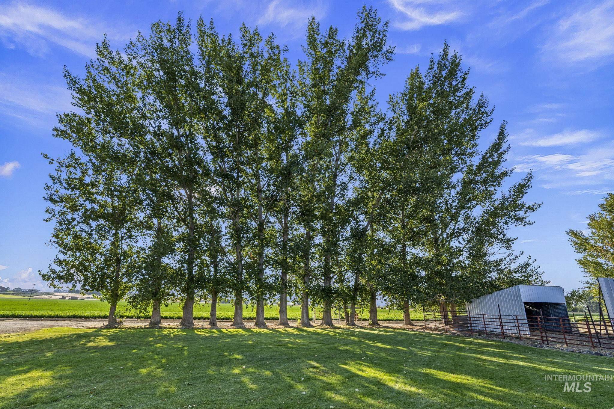 19716 Country View Ln, Caldwell, Idaho 83607, 3 Bedrooms, 2 Bathrooms, Residential For Sale, Price $730,000, 98977810