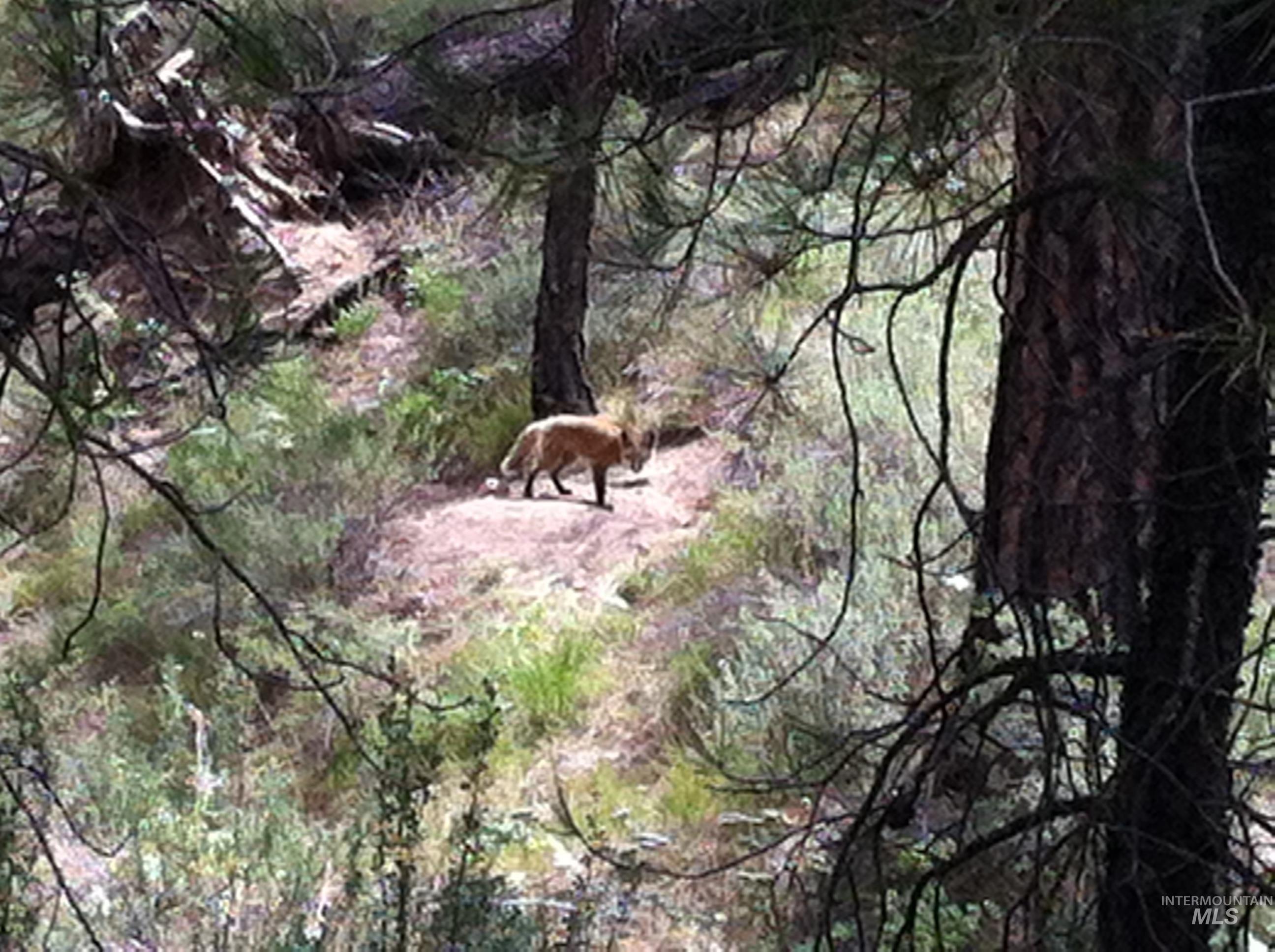 27 N Meadow Creek Road, Idaho City, Idaho 83631, Land For Sale, Price $199,000,MLS 98977855