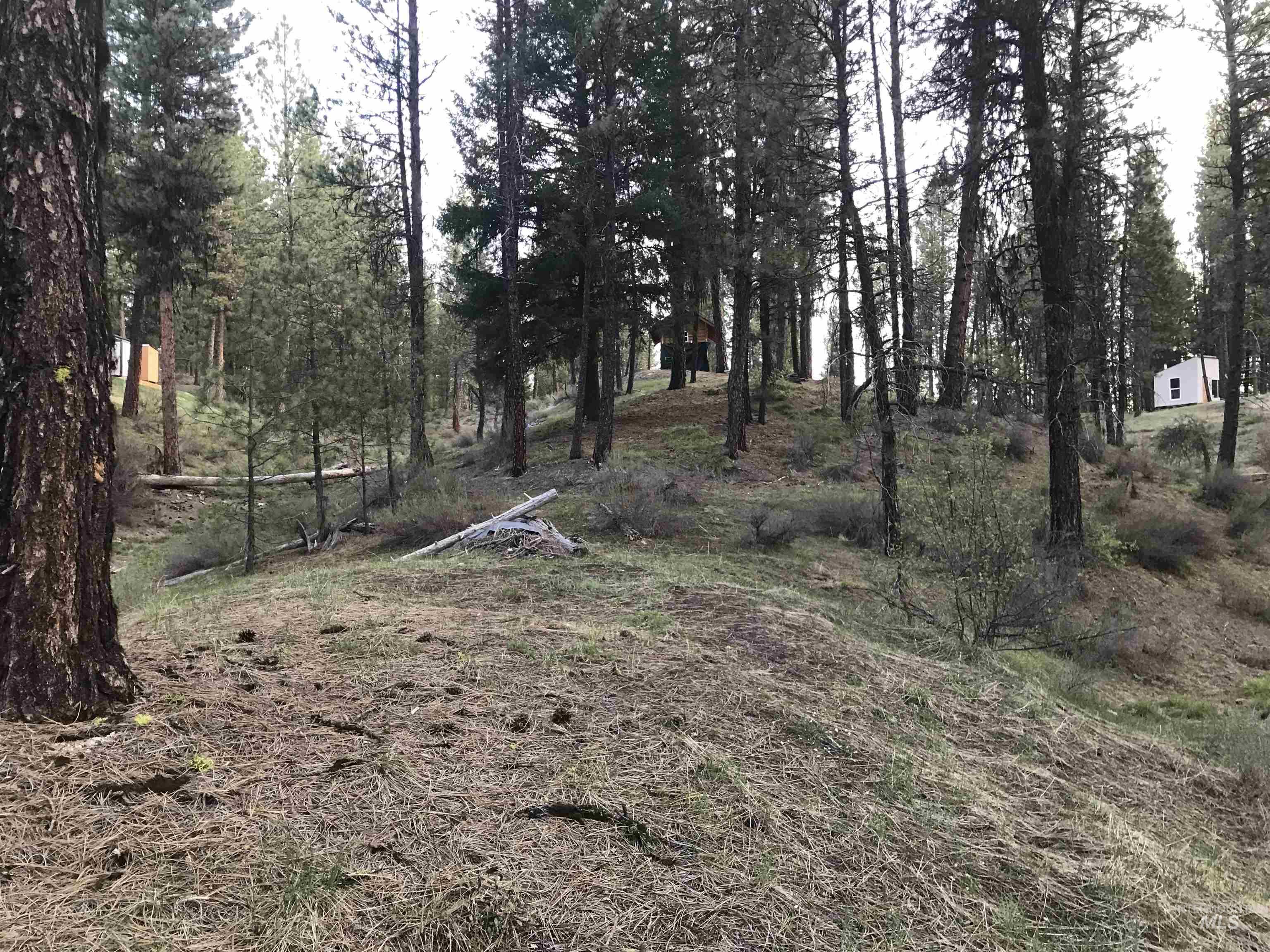 27 N Meadow Creek Road, Idaho City, Idaho 83631, Land For Sale, Price $179,500, 98977855