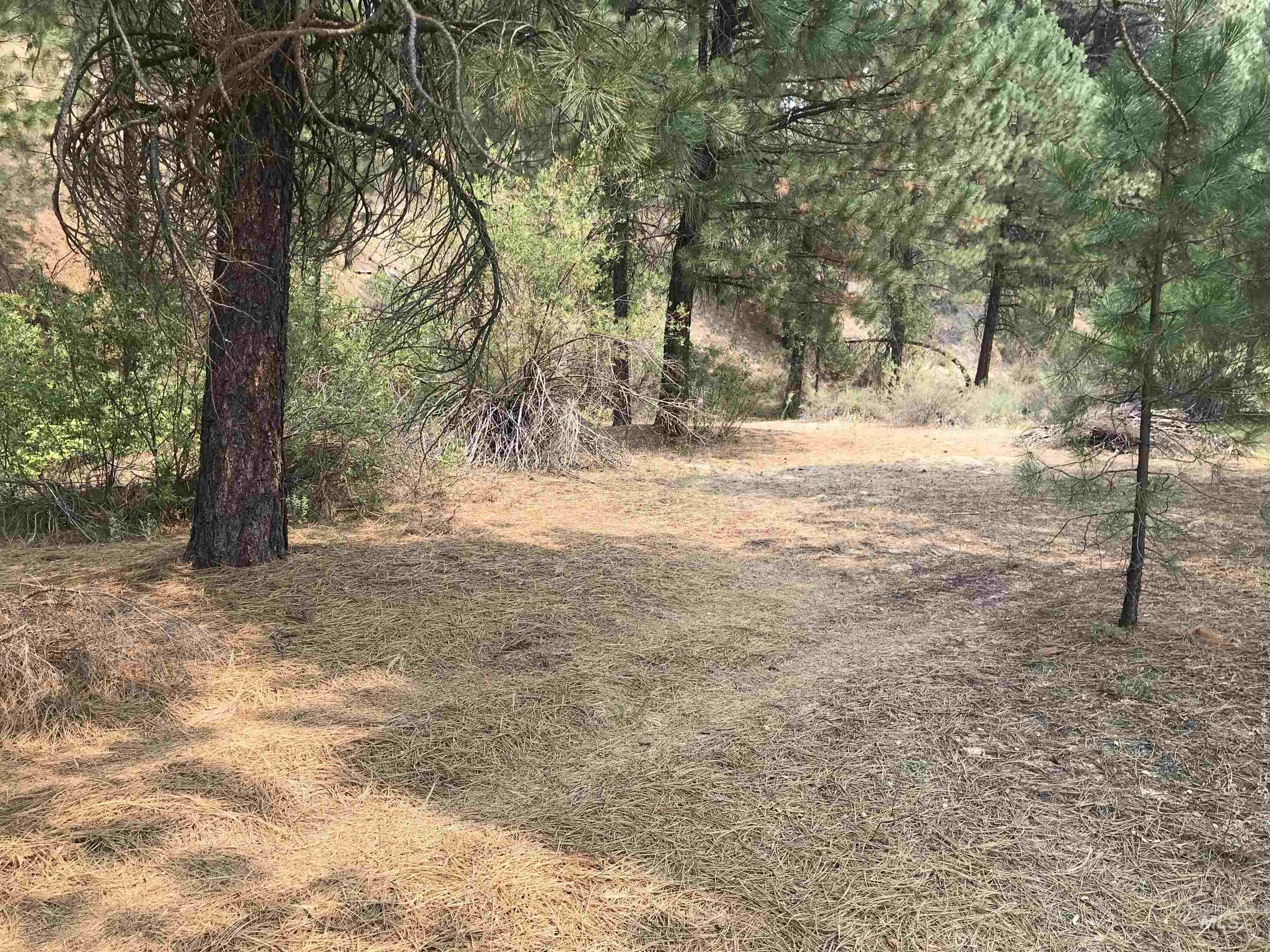 27 N Meadow Creek Road, Idaho City, Idaho 83631, Land For Sale, Price $199,000,MLS 98977855