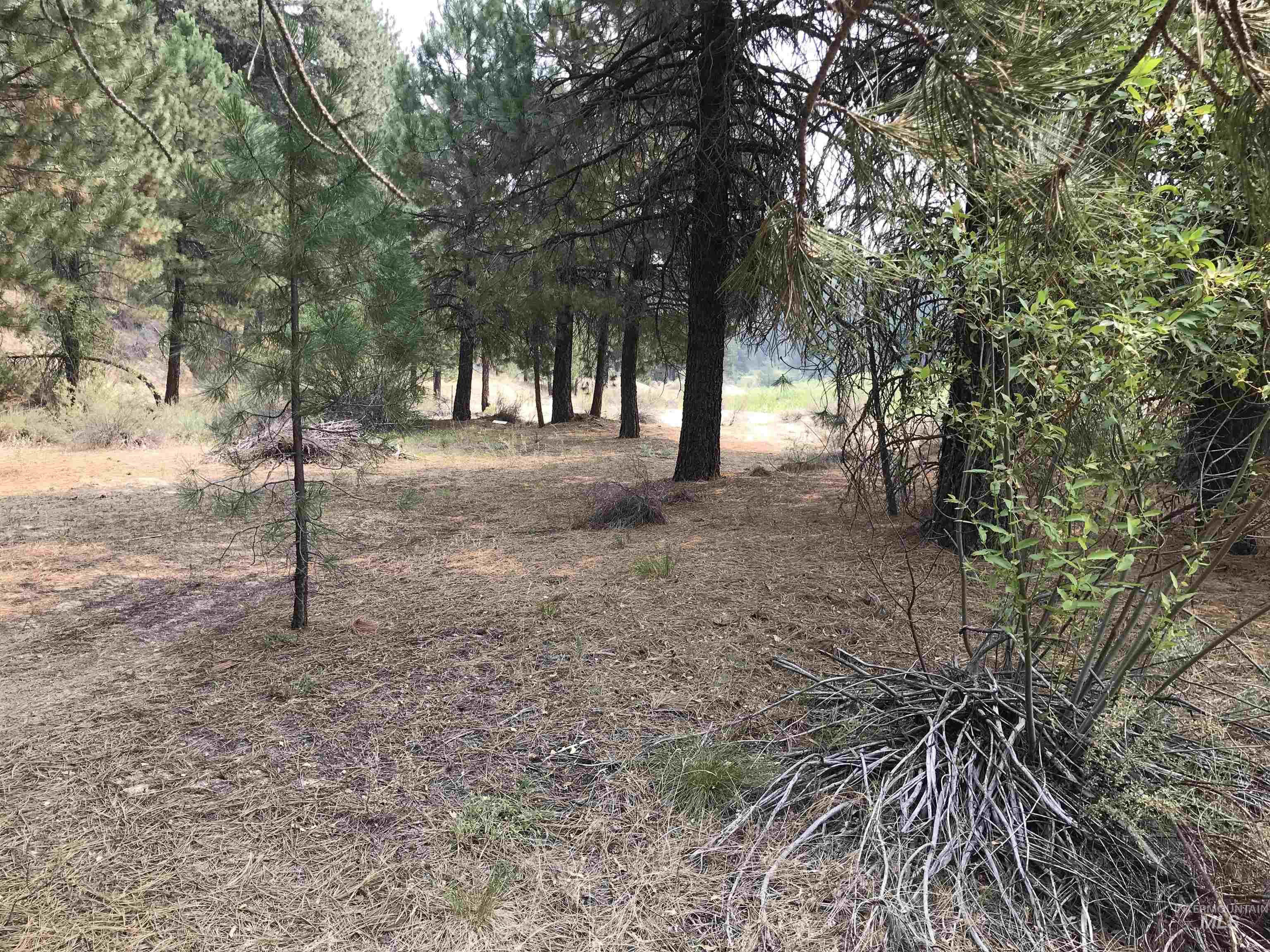 27 N Meadow Creek Road, Idaho City, Idaho 83631, Land For Sale, Price $199,000,MLS 98977855