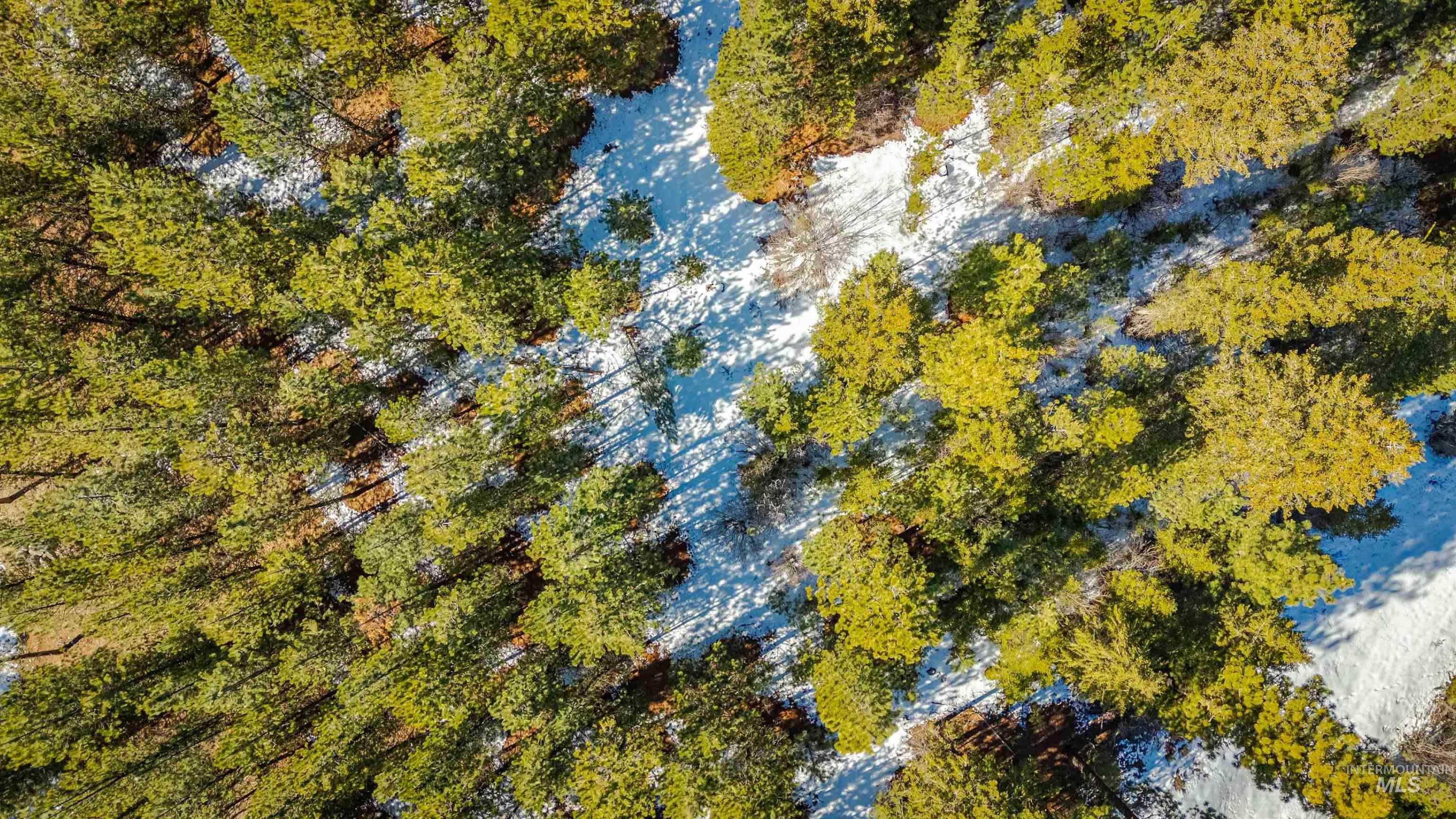 TBD Skunk Creek Road, Cascade, Idaho 83611, Land For Sale, Price $2,900,000,MLS 98977908