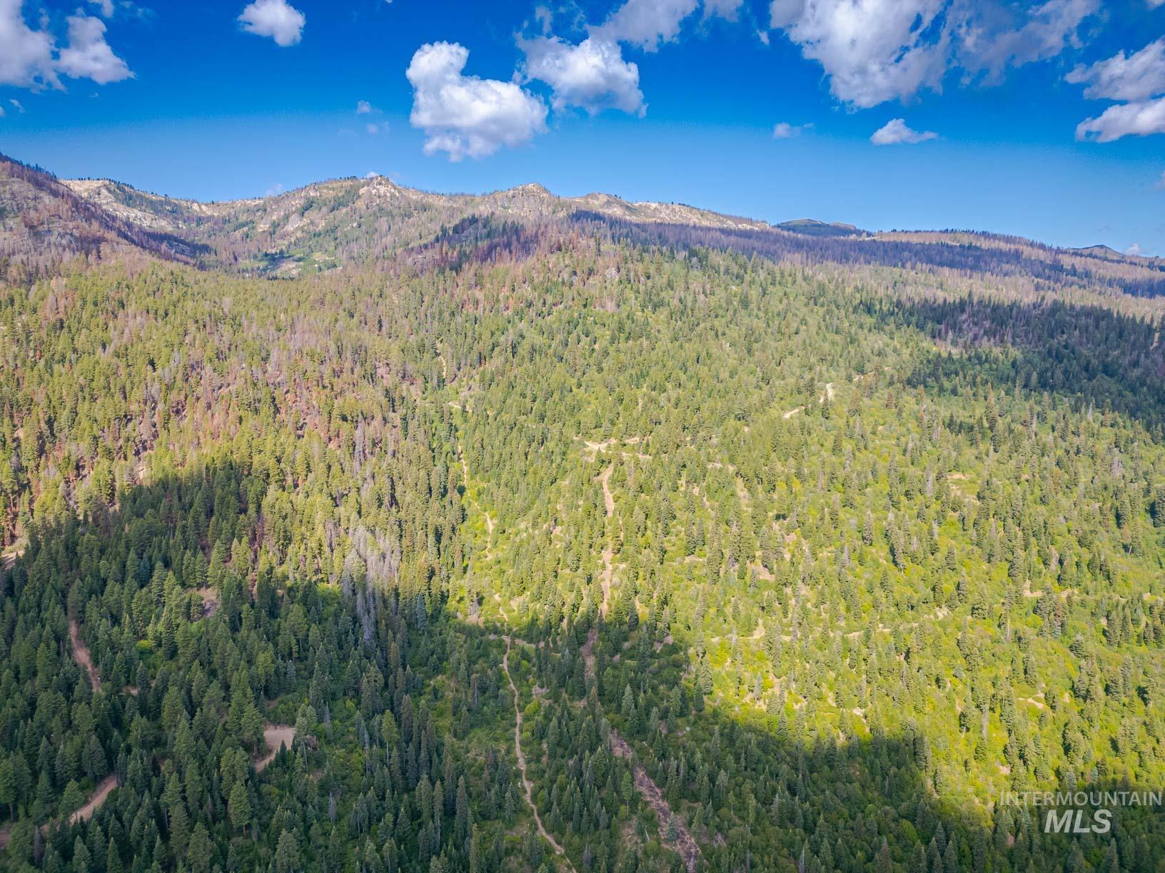 TBD West Mountain, Cascade, Idaho 83611, Land For Sale, Price $7,890,000,MLS 98977913