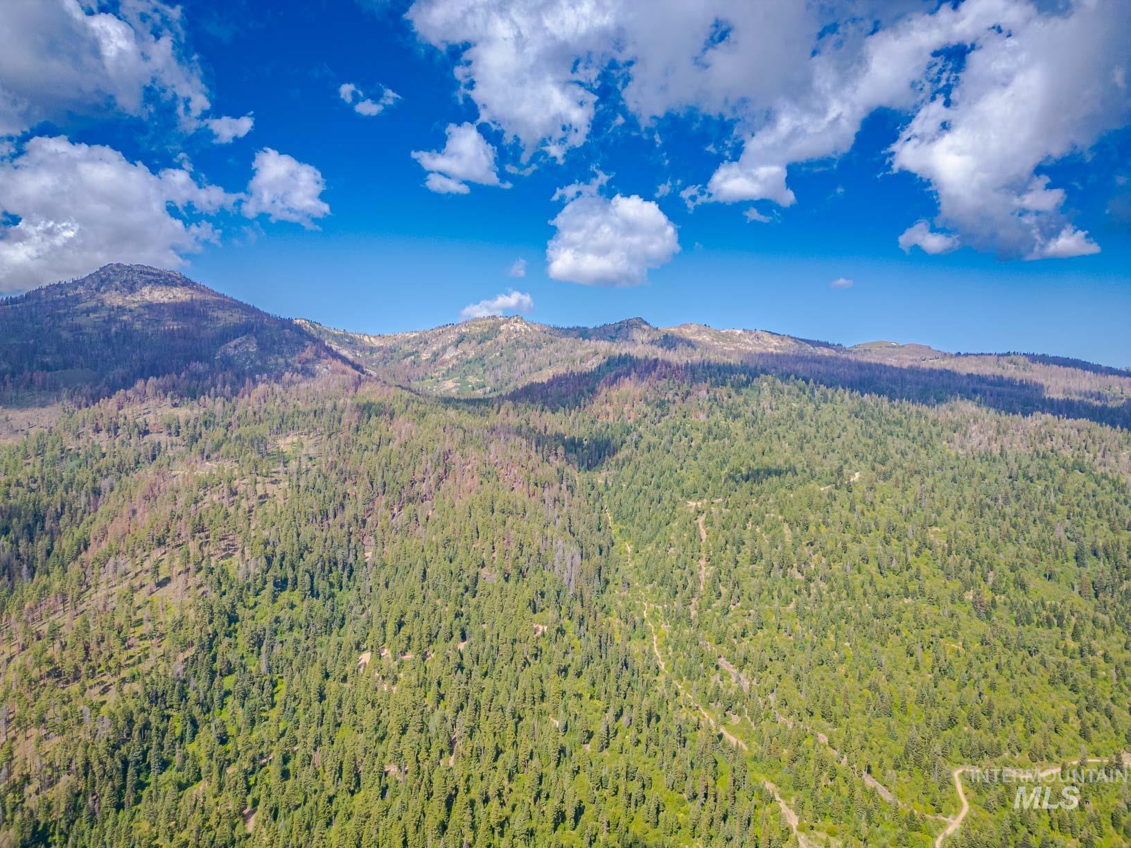 TBD West Mountain, Cascade, Idaho 83611, Land For Sale, Price $7,890,000,MLS 98977913