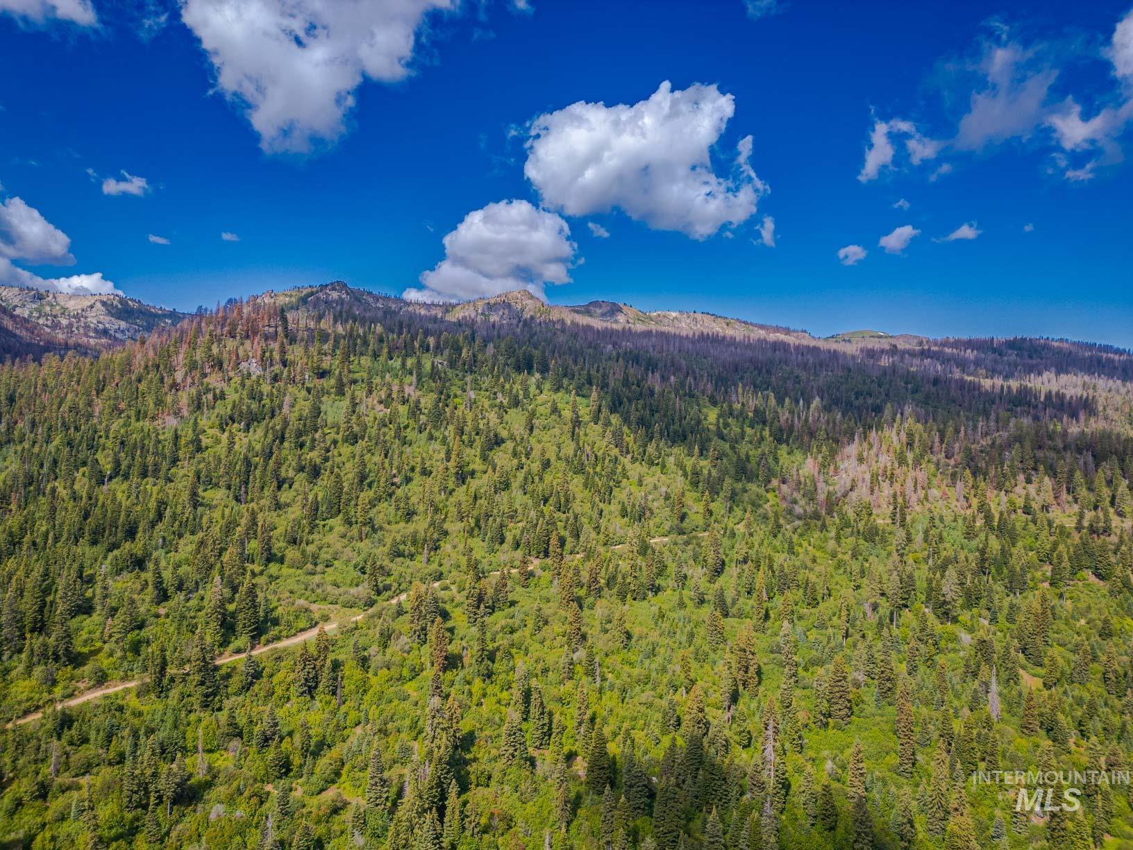 TBD West Mountain, Cascade, Idaho 83611, Land For Sale, Price $7,890,000,MLS 98977913