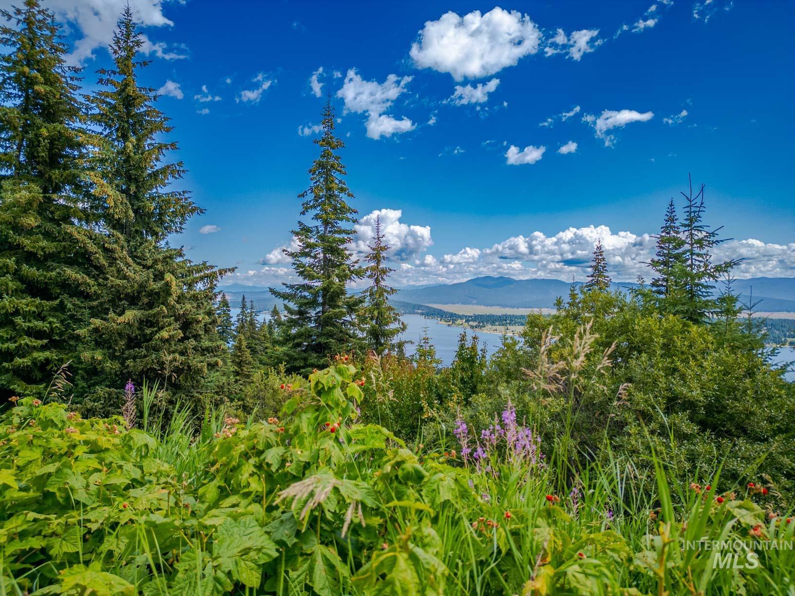 TBD West Mountain, Cascade, Idaho 83611, Land For Sale, Price $7,890,000,MLS 98977913