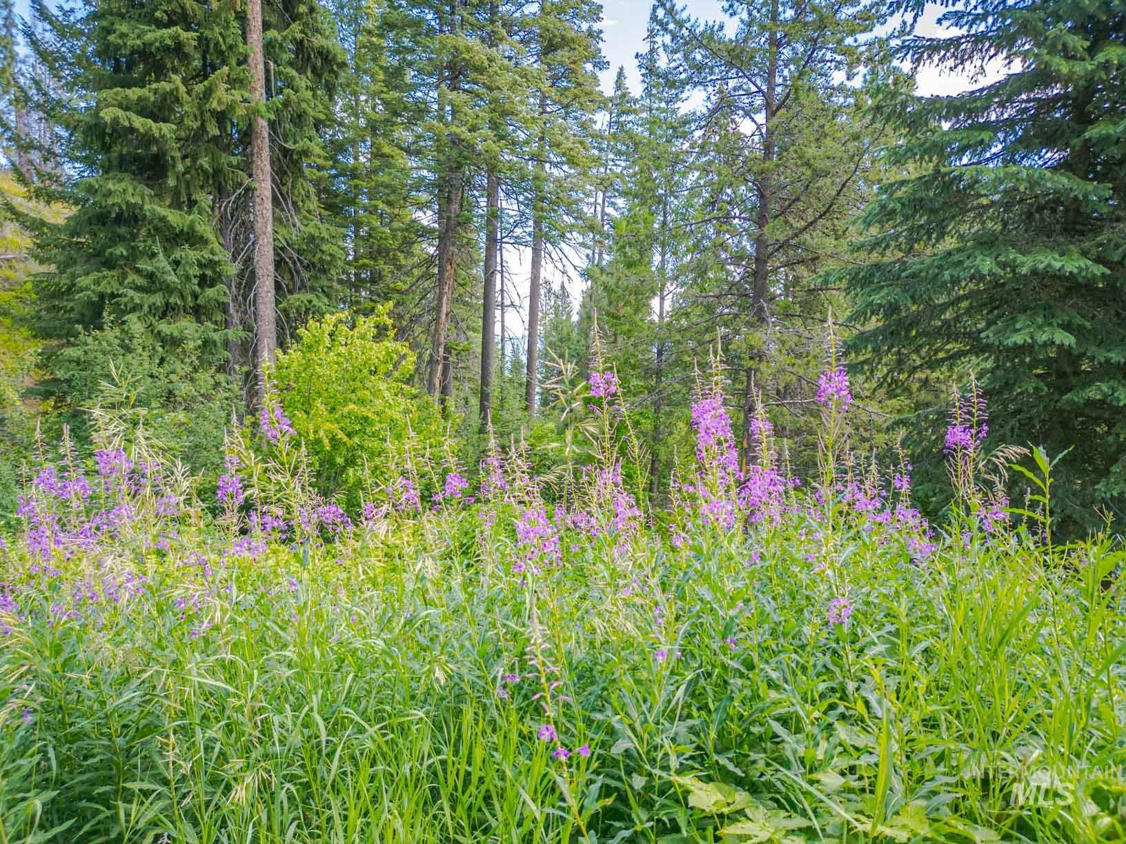 TBD West Mountain, Cascade, Idaho 83611, Land For Sale, Price $7,890,000,MLS 98977913