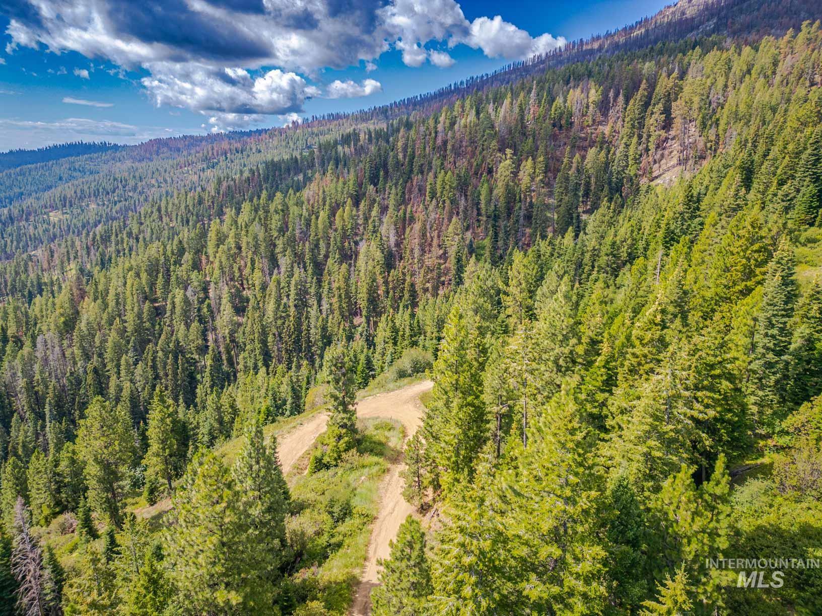 TBD West Mountain, Cascade, Idaho 83611, Land For Sale, Price $7,890,000,MLS 98977913
