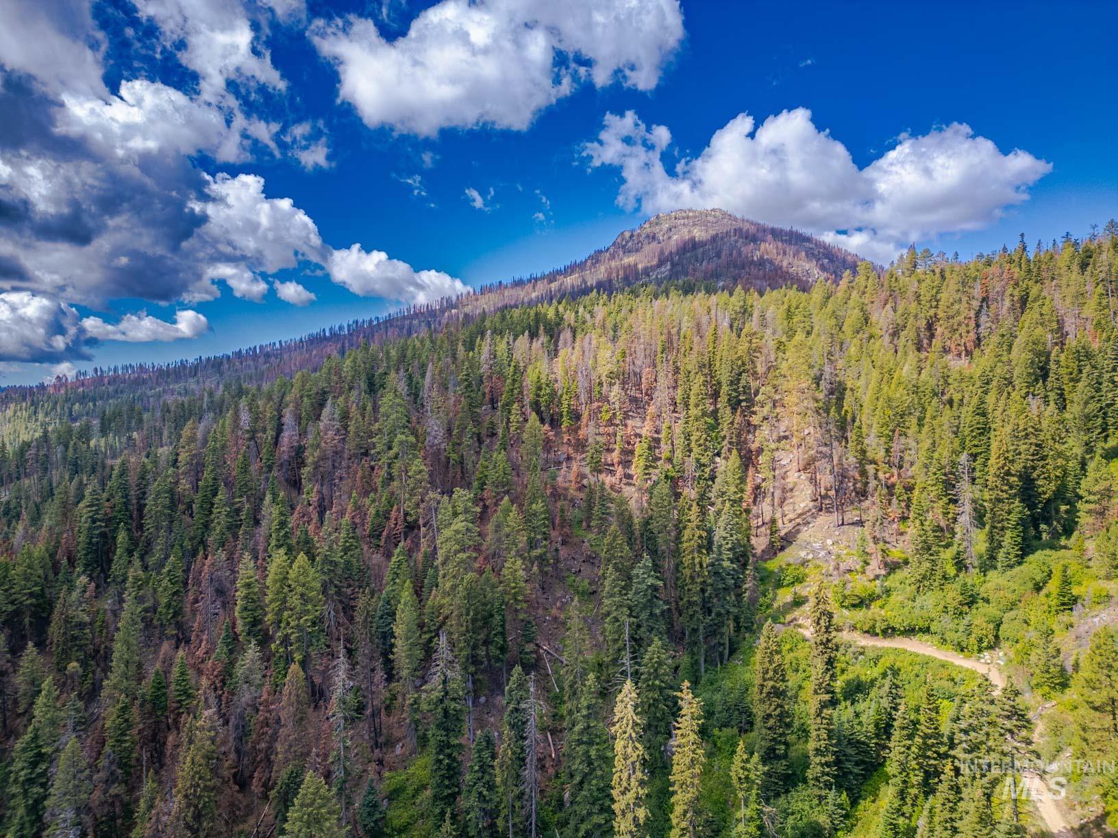 TBD West Mountain, Cascade, Idaho 83611, Land For Sale, Price $7,890,000,MLS 98977913