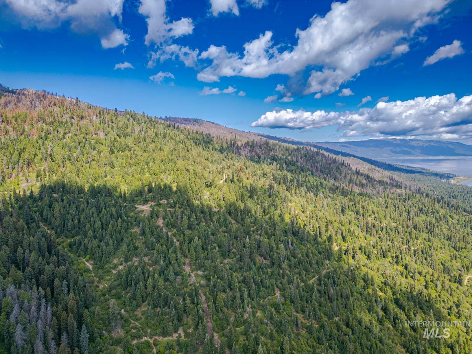 TBD West Mountain, Cascade, Idaho 83611, Land For Sale, Price $7,890,000,MLS 98977913