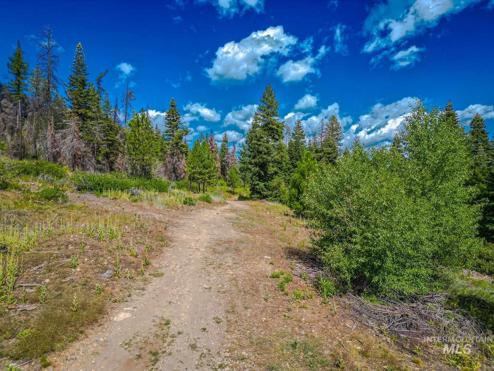 TBD West Mountain, Cascade, Idaho 83611, Land For Sale, Price $7,890,000,MLS 98977913