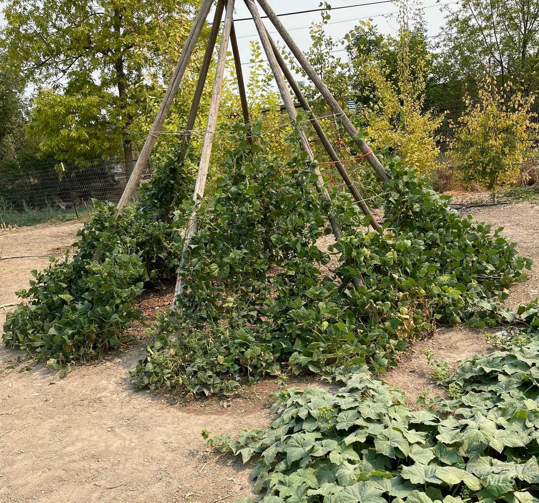 564 S South Blue Lakes Blvd, Twin Falls, Idaho 83301, 9 Bedrooms, 5 Bathrooms, Residential For Sale, Price $799,999,MLS 98977945