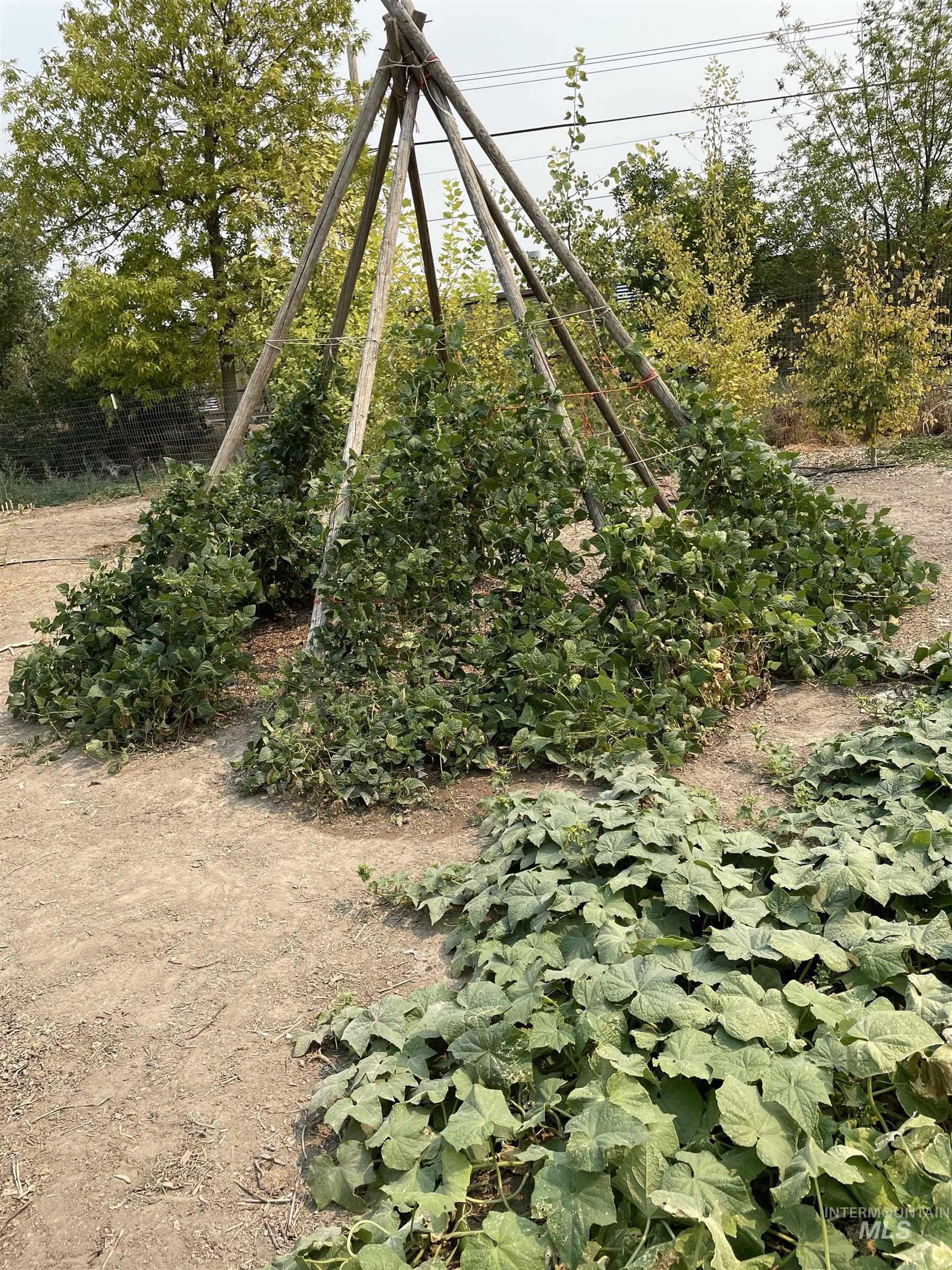 564 S Blue Lakes Blvd, Twin Falls, Idaho 83301, 9 Bedrooms, 5 Bathrooms, Residential For Sale, Price $847,000, 98977945