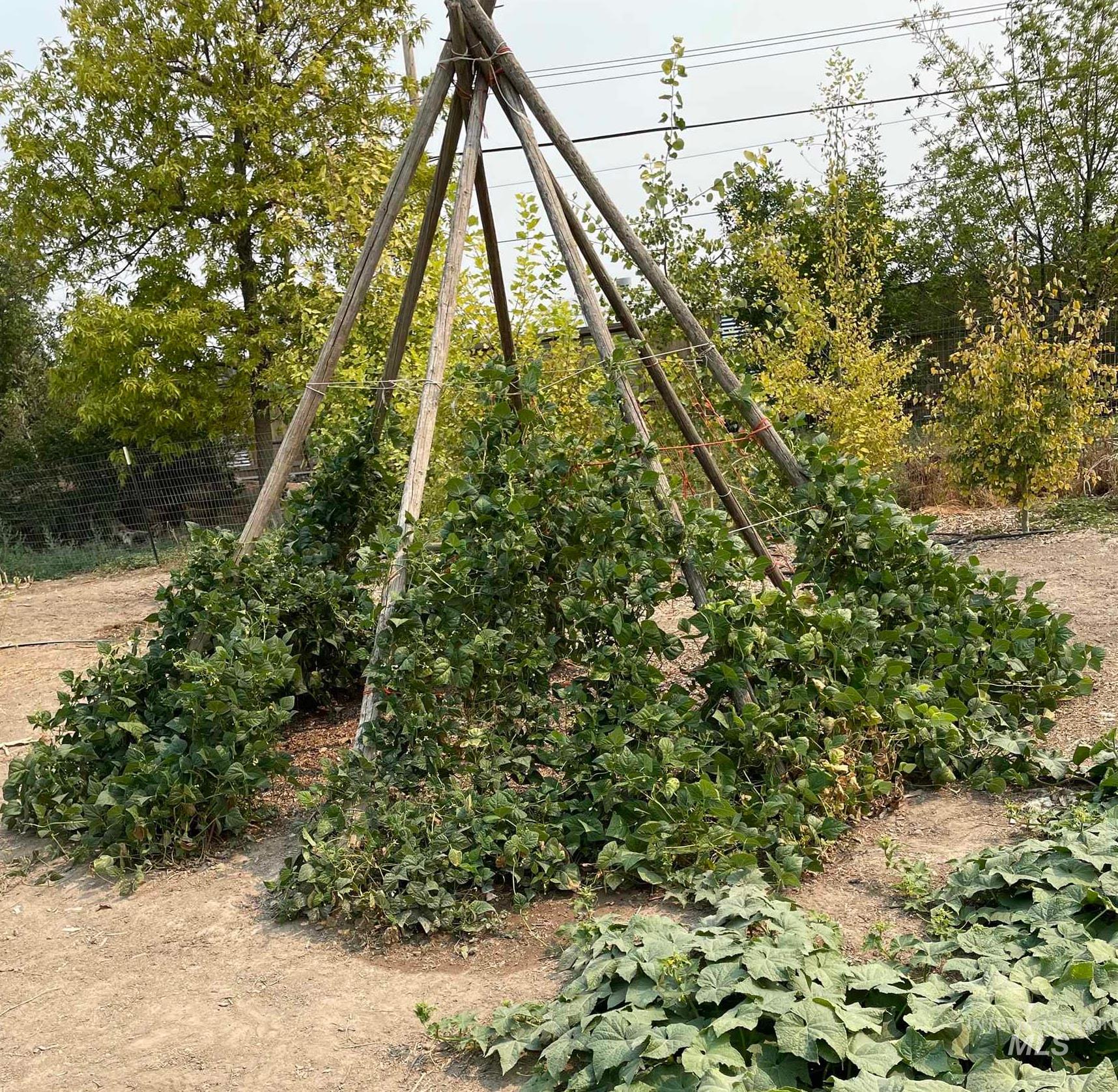 564 S Blue Lakes Blvd, Twin Falls, Idaho 83301, 4 Bedrooms, 2 Bathrooms, Residential Income For Sale, Price $799,999, 98977946