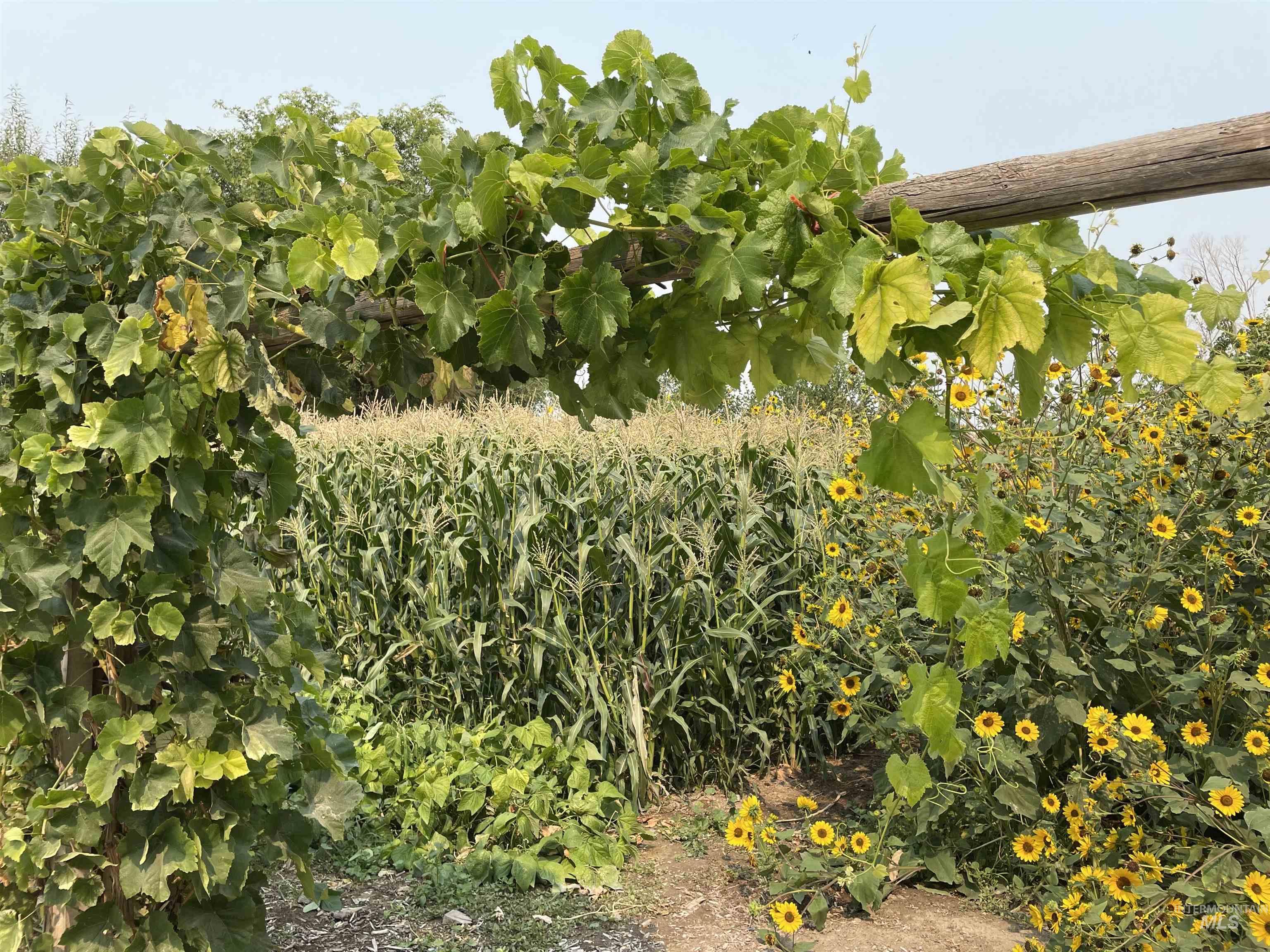 564 S Blue Lakes Blvd, Twin Falls, Idaho 83301, 4 Bedrooms, 2 Bathrooms, Residential Income For Sale, Price $799,999, 98977946