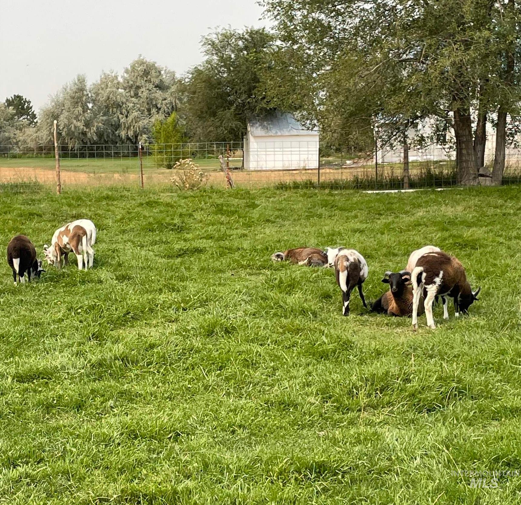 564 S Blue Lakes Blvd, Twin Falls, Idaho 83301, 4 Bedrooms, 2 Bathrooms, Residential Income For Sale, Price $799,999, 98977946