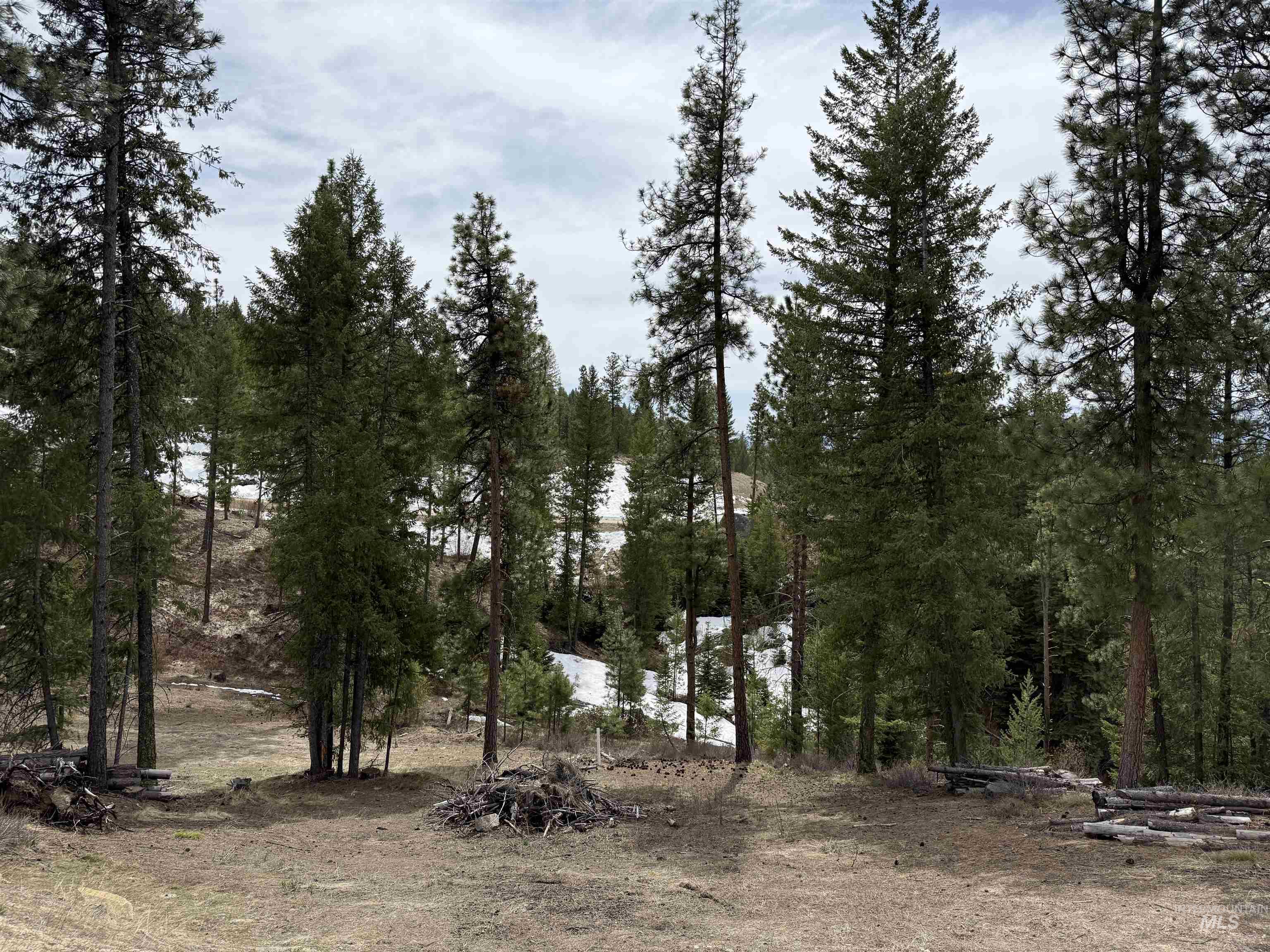 33 San Ignacio Way, Cascade, Idaho 83611, Land For Sale, Price $295,000,MLS 98977959