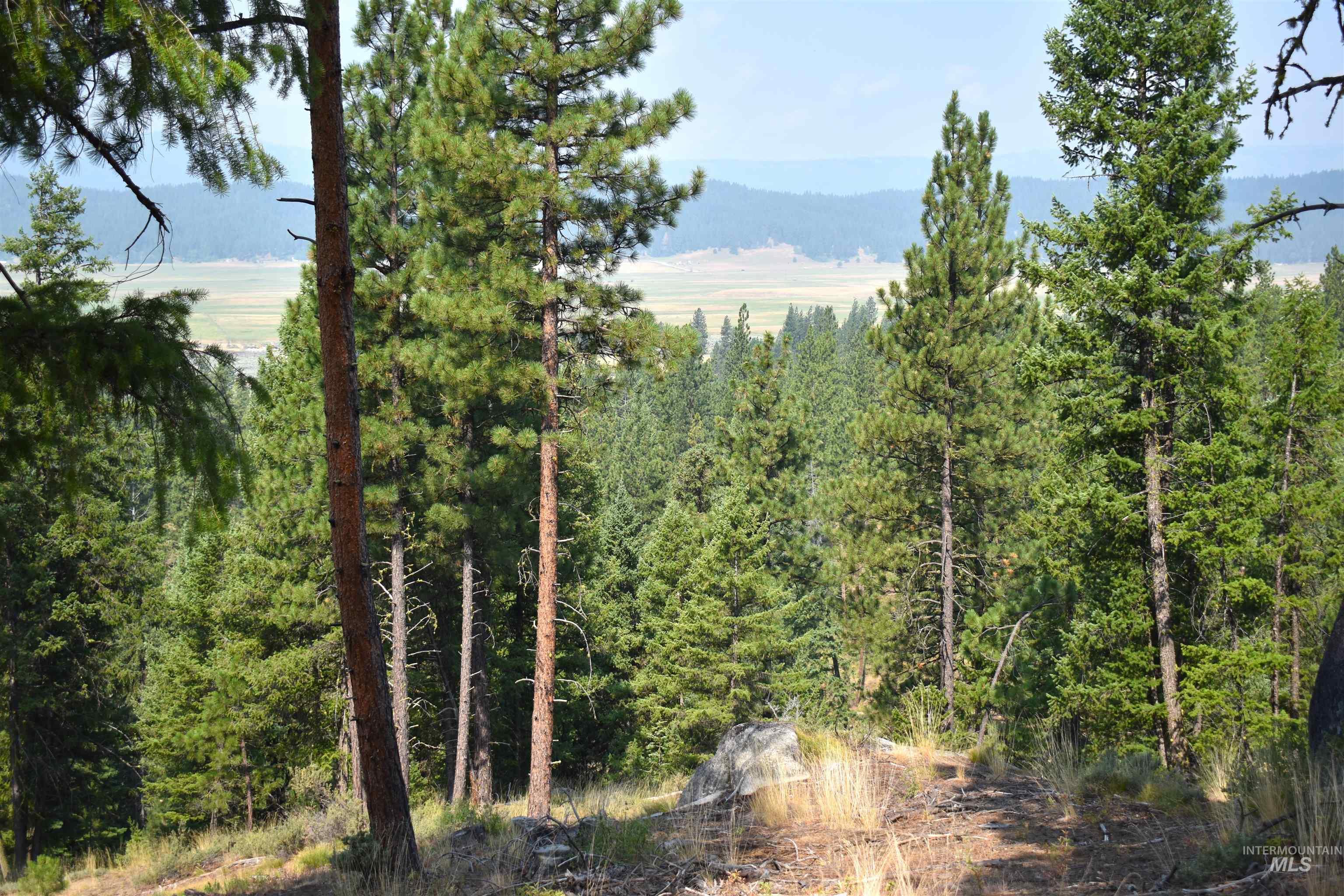 33 San Ignacio Way, Cascade, Idaho 83611, Land For Sale, Price $295,000,MLS 98977959