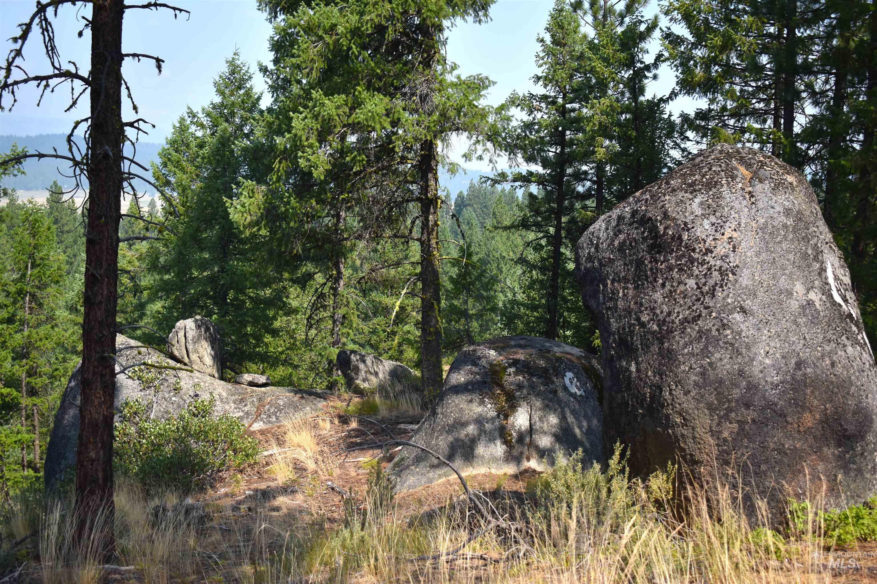 33 San Ignacio Way, Cascade, Idaho 83611, Land For Sale, Price $295,000,MLS 98977959