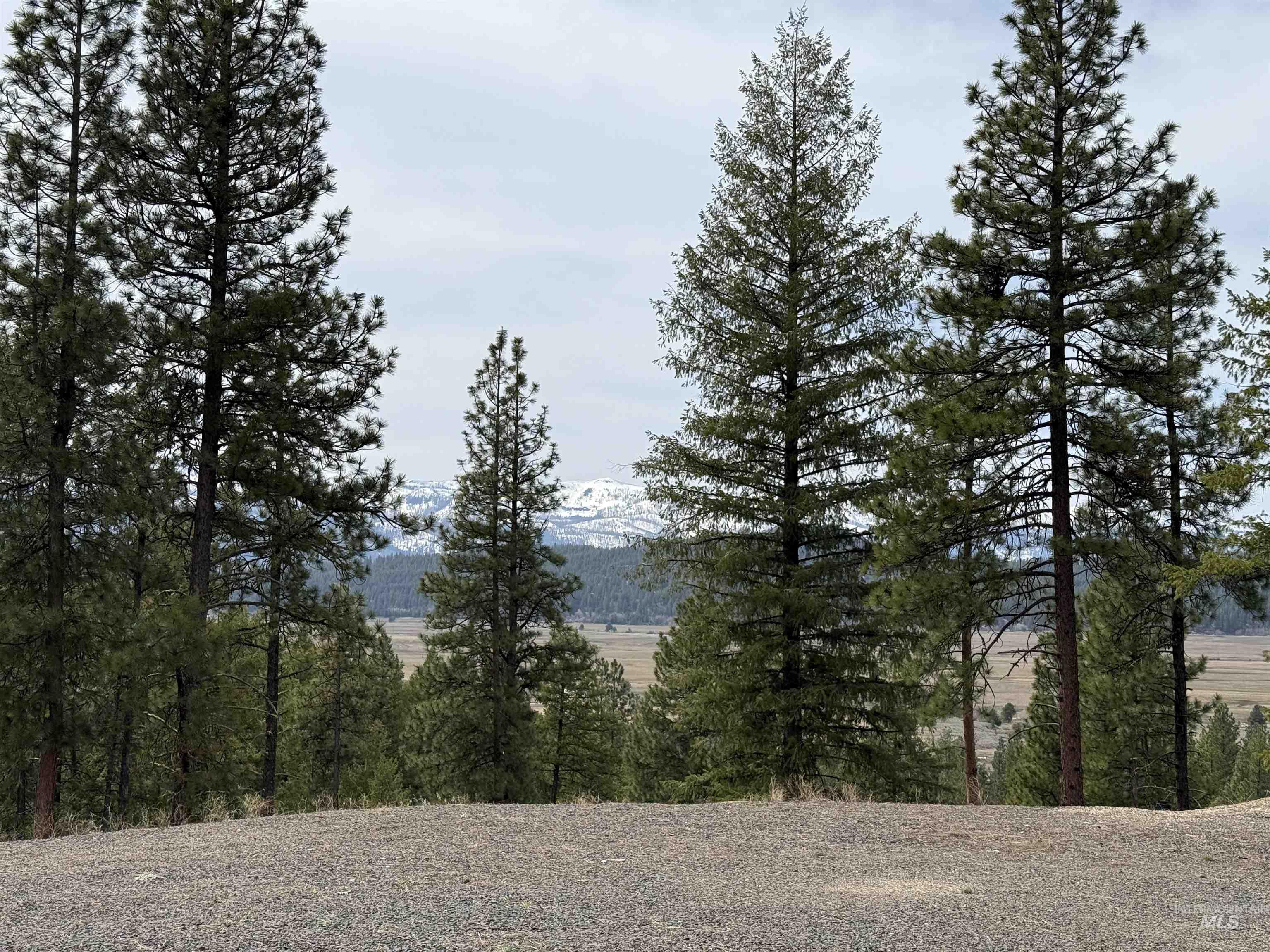 33 San Ignacio Way, Cascade, Idaho 83611, Land For Sale, Price $295,000,MLS 98977959