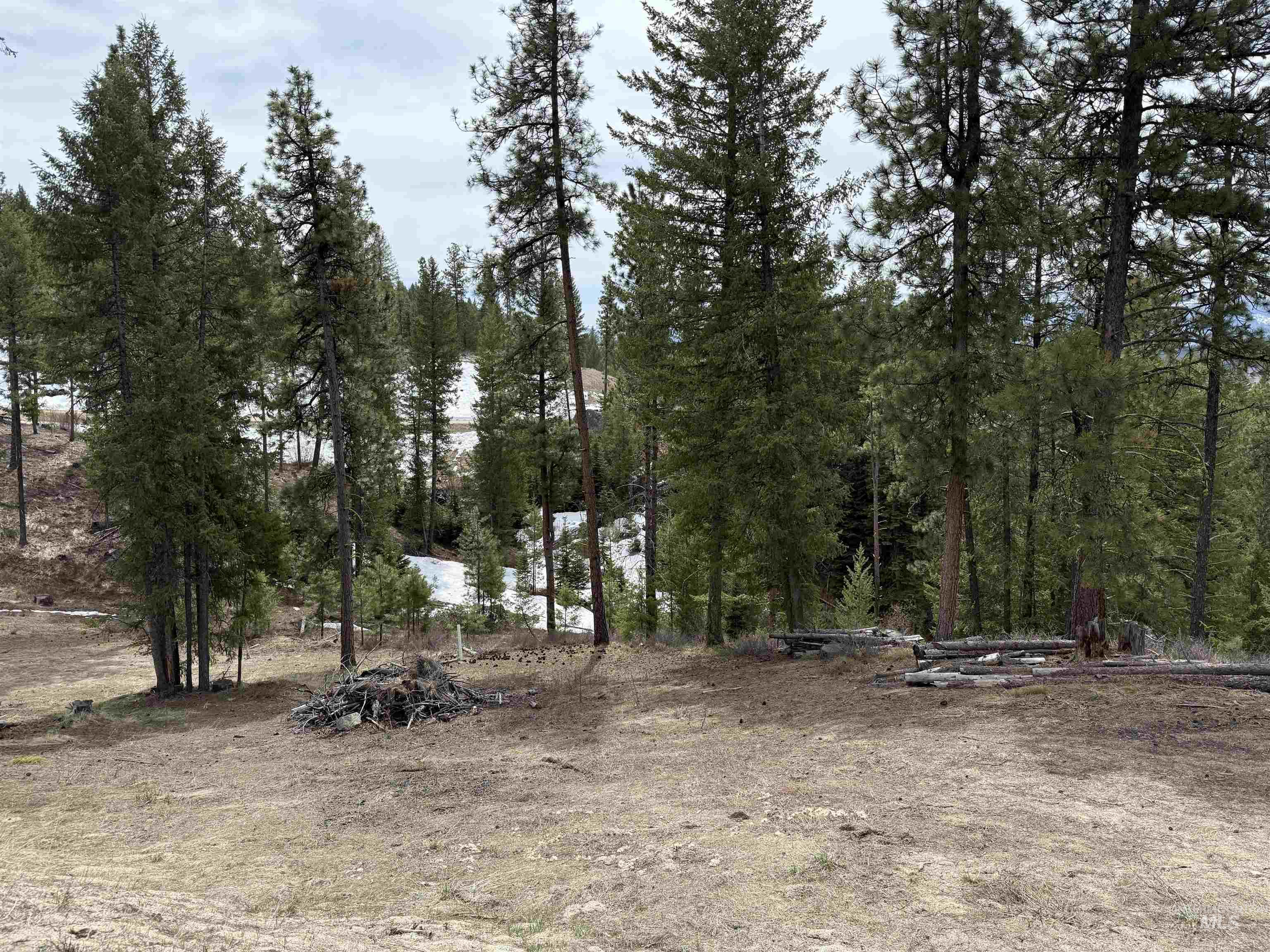 33 San Ignacio Way, Cascade, Idaho 83611, Land For Sale, Price $295,000,MLS 98977959