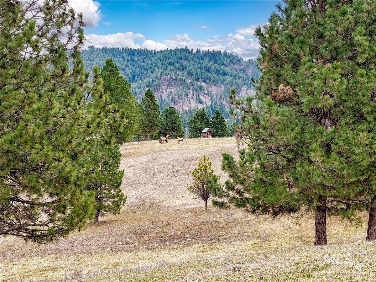 6 E Beck Rd, Garden Valley, Idaho 83622, 4 Bedrooms, 4.5 Bathrooms, Residential For Sale, Price $975,000,MLS 98978008