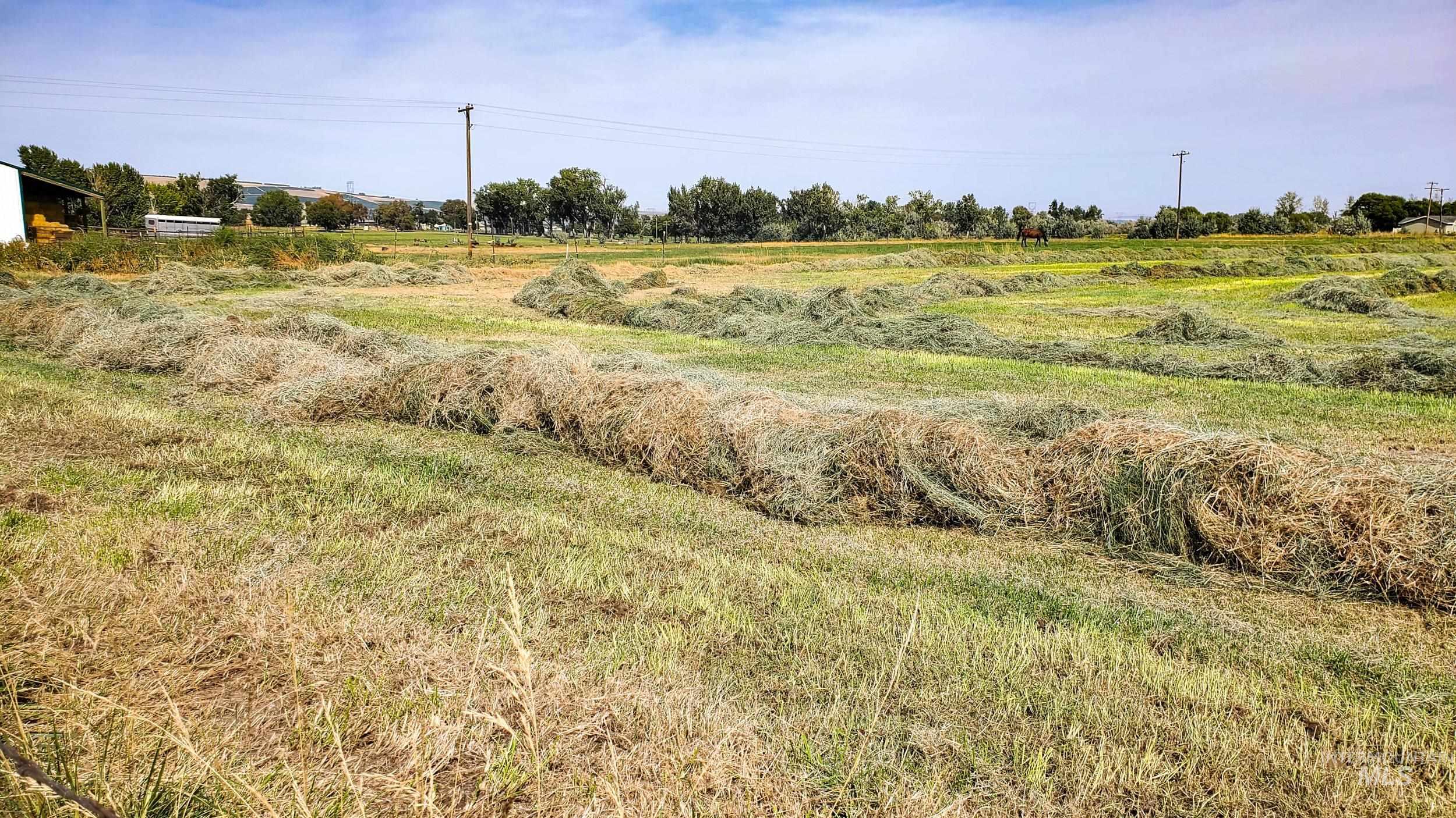 68499 Kunze Ln, Boardman, Oregon 97818, 3 Bedrooms, 2 Bathrooms, Farm & Ranch For Sale, Price $850,000,MLS 98978028