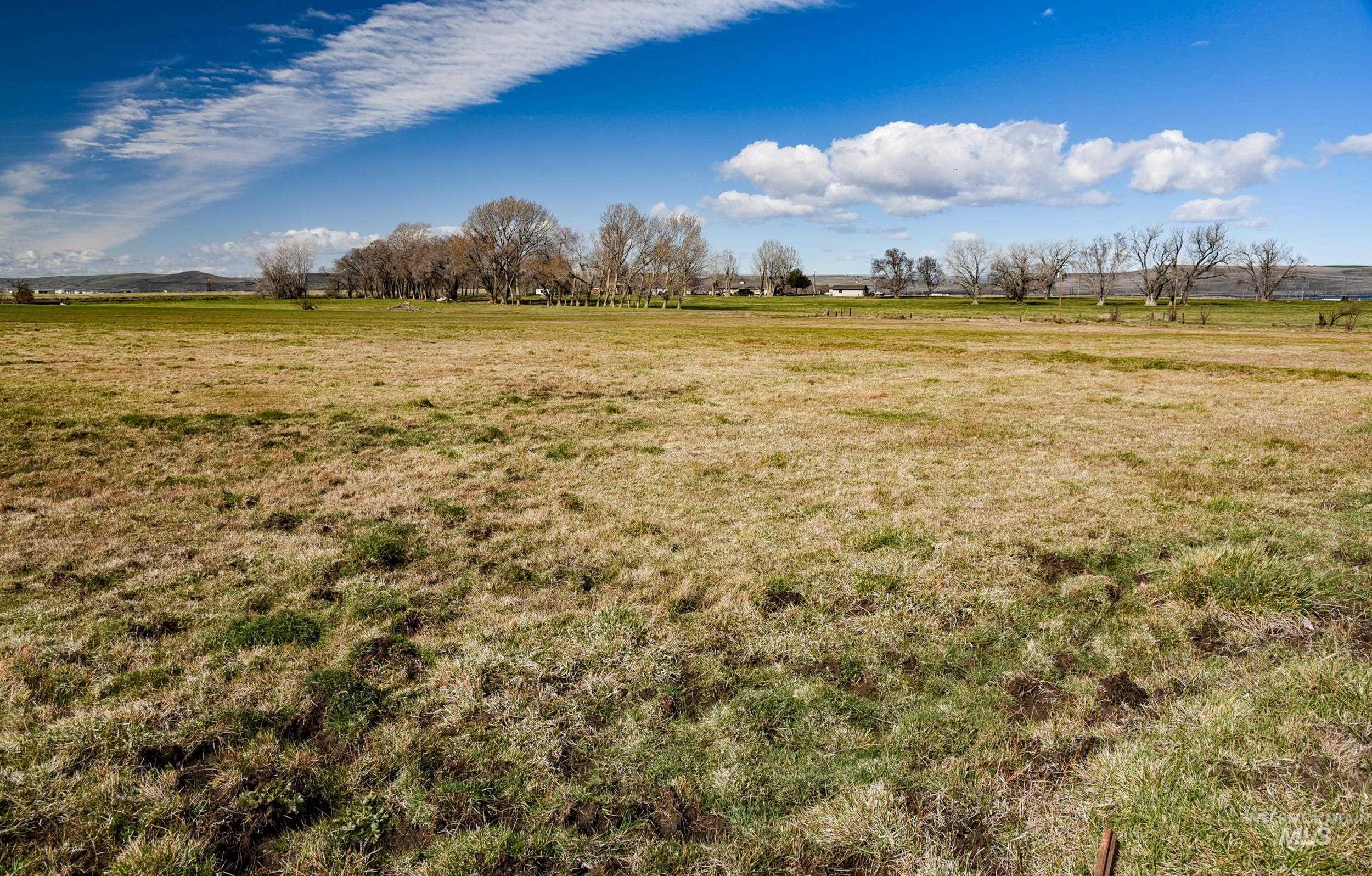 68499 Kunze Ln, Boardman, Oregon 97818, 3 Bedrooms, 2 Bathrooms, Farm & Ranch For Sale, Price $850,000,MLS 98978028