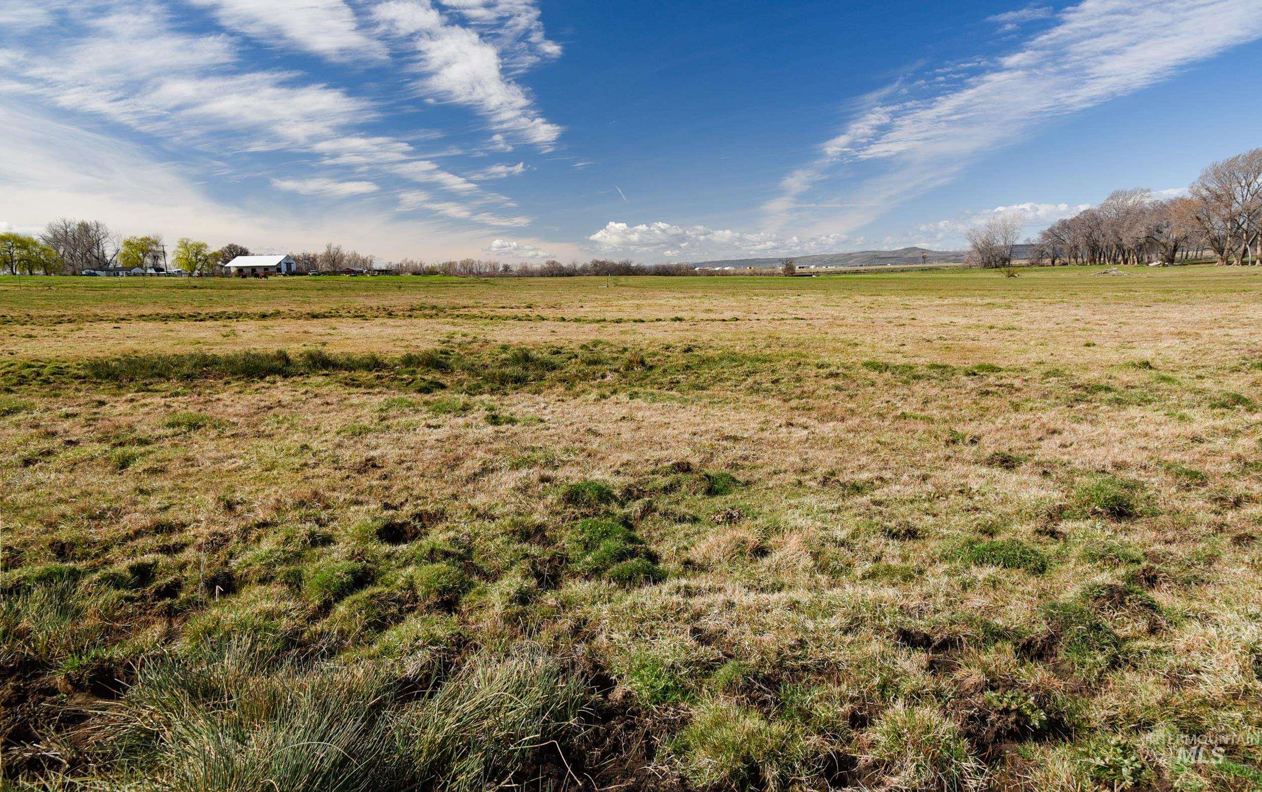 68499 Kunze Ln, Boardman, Oregon 97818, 3 Bedrooms, 2 Bathrooms, Farm & Ranch For Sale, Price $850,000,MLS 98978028