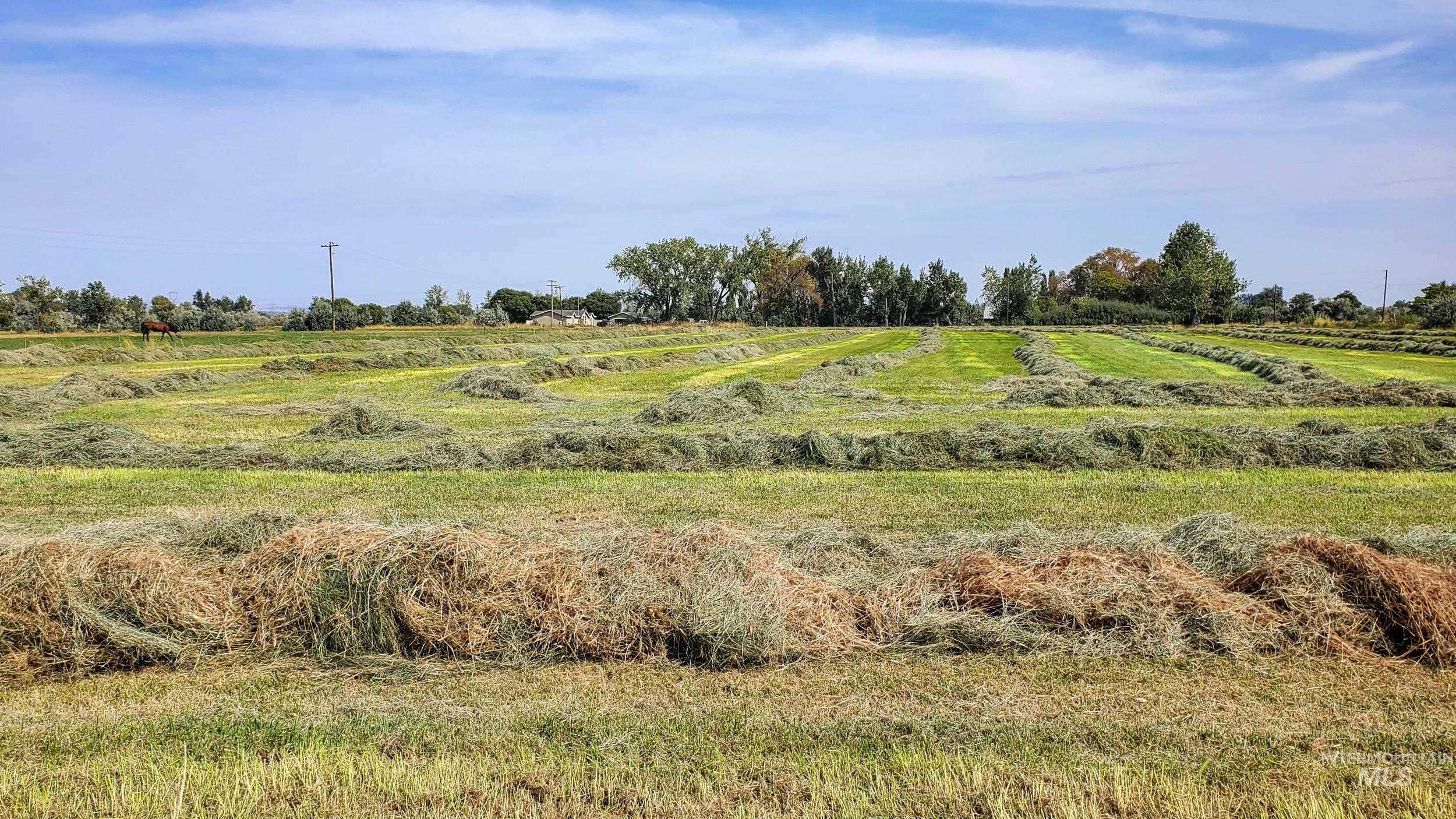 68499 Kunze Ln, Boardman, Oregon 97818, 3 Bedrooms, 2 Bathrooms, Farm & Ranch For Sale, Price $850,000,MLS 98978028