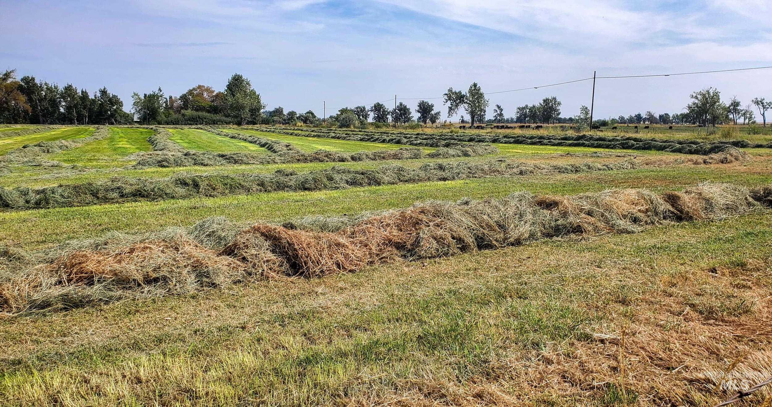 68499 Kunze Ln, Boardman, Oregon 97818, 3 Bedrooms, 2 Bathrooms, Farm & Ranch For Sale, Price $850,000,MLS 98978028