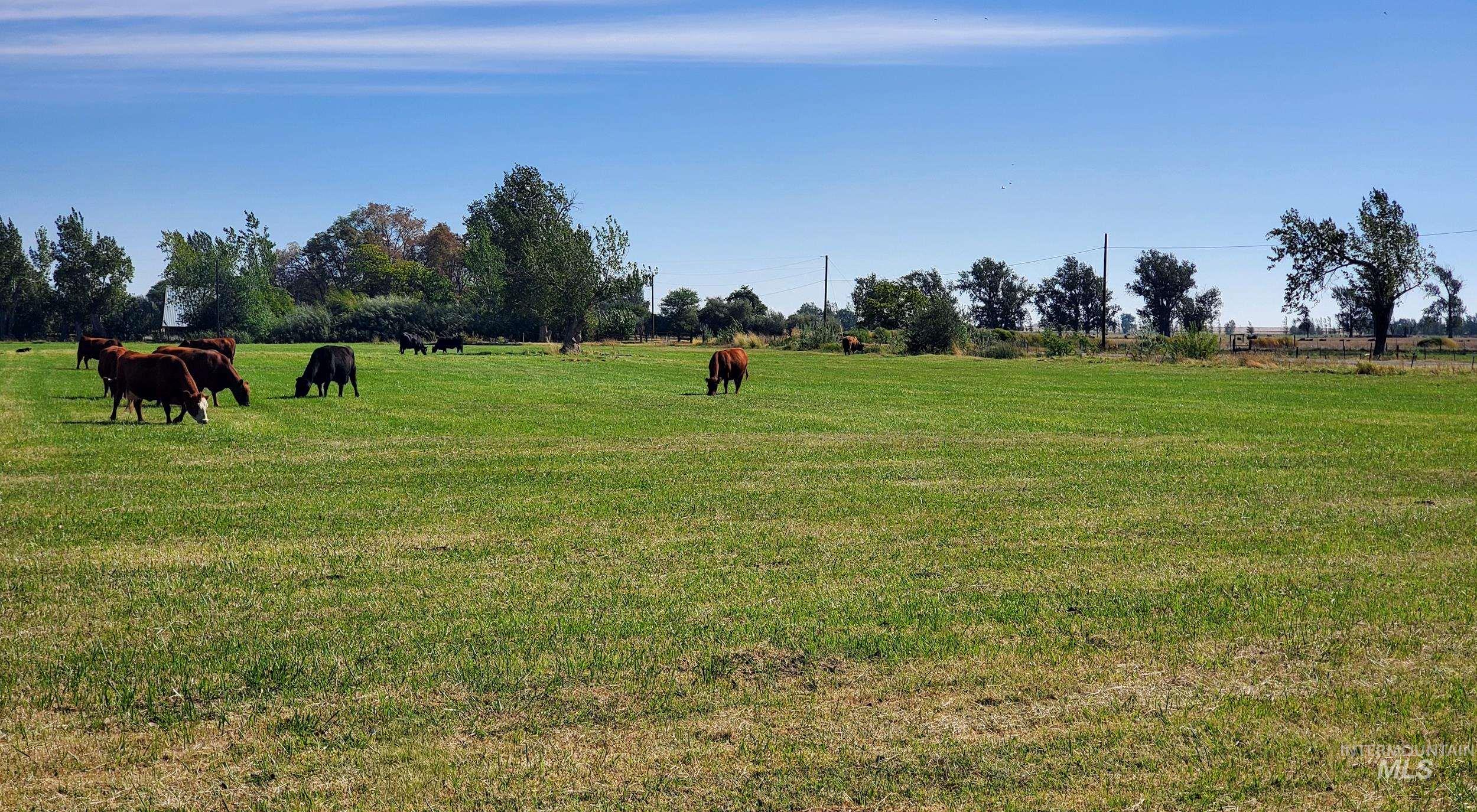 68499 Kunze Ln, Boardman, Oregon 97818, 3 Bedrooms, 2 Bathrooms, Farm & Ranch For Sale, Price $850,000,MLS 98978028