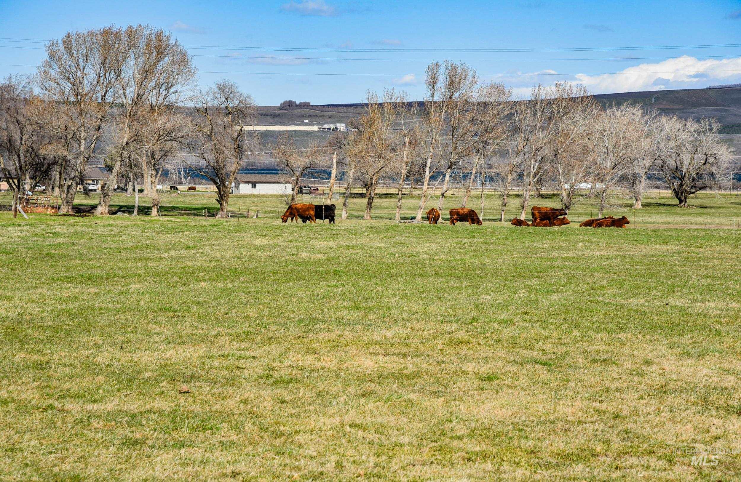 68499 Kunze Ln, Boardman, Oregon 97818, 3 Bedrooms, 2 Bathrooms, Farm & Ranch For Sale, Price $850,000,MLS 98978028