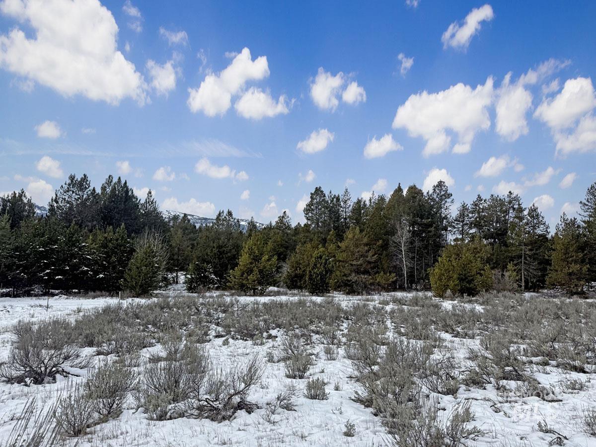 L6 B1 Riverside Drive, Cascade, Idaho 83611, Land For Sale, Price $56,000,MLS 98978051