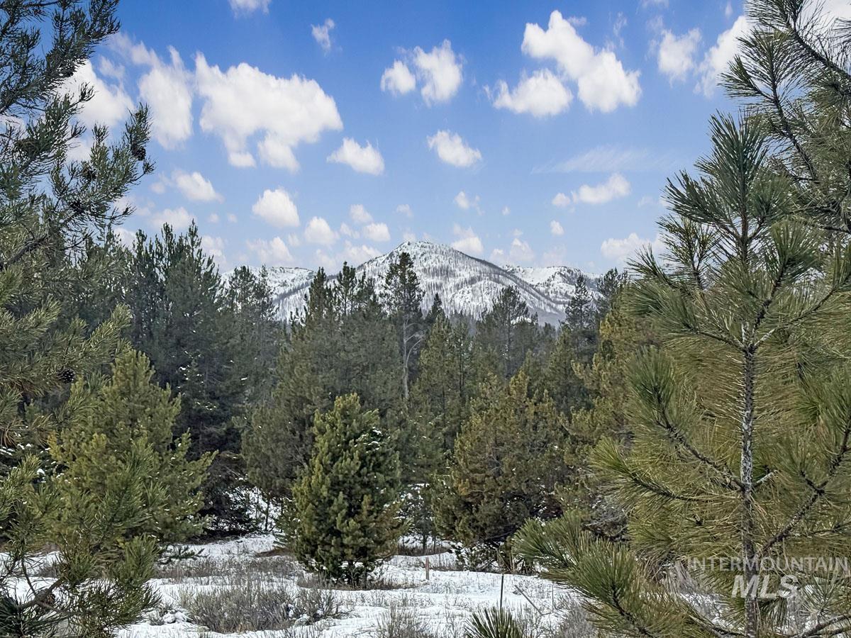 L6 B1 Riverside Drive, Cascade, Idaho 83611, Land For Sale, Price $56,000,MLS 98978051