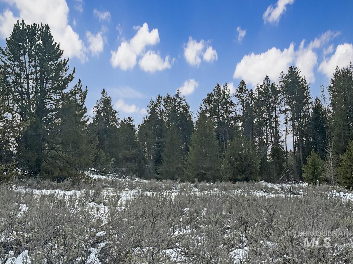 L6 B1 Riverside Drive, Cascade, Idaho 83611, Land For Sale, Price $56,000,MLS 98978051