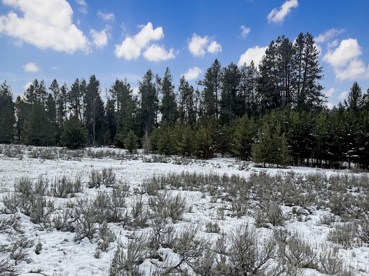 L6 B1 Riverside Drive, Cascade, Idaho 83611, Land For Sale, Price $56,000,MLS 98978051