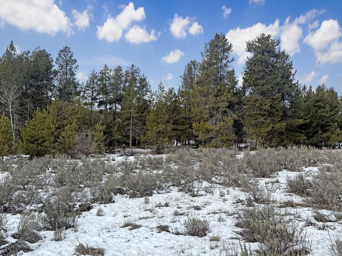 L6 B1 Riverside Drive, Cascade, Idaho 83611, Land For Sale, Price $56,000,MLS 98978051