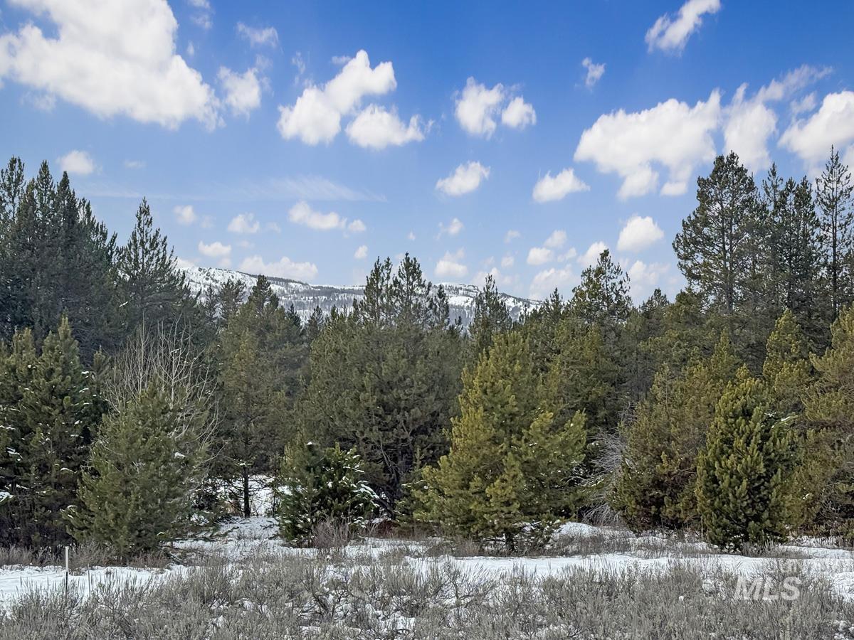 L6 B1 Riverside Drive, Cascade, Idaho 83611, Land For Sale, Price $56,000,MLS 98978051