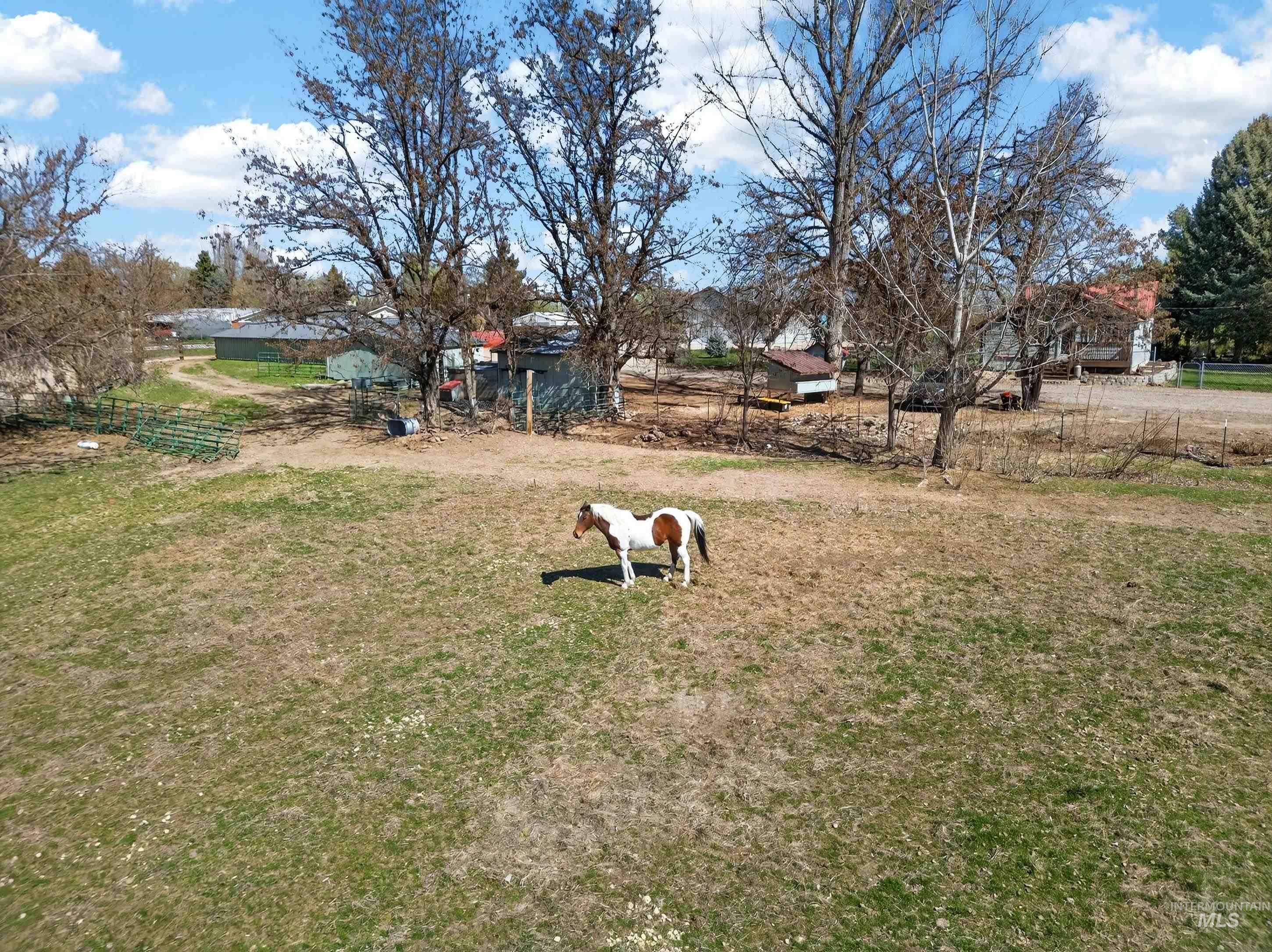 23466 Freezeout Rd, Caldwell, Idaho 83607, 3 Bedrooms, 3 Bathrooms, Residential For Sale, Price $825,000,MLS 98978075