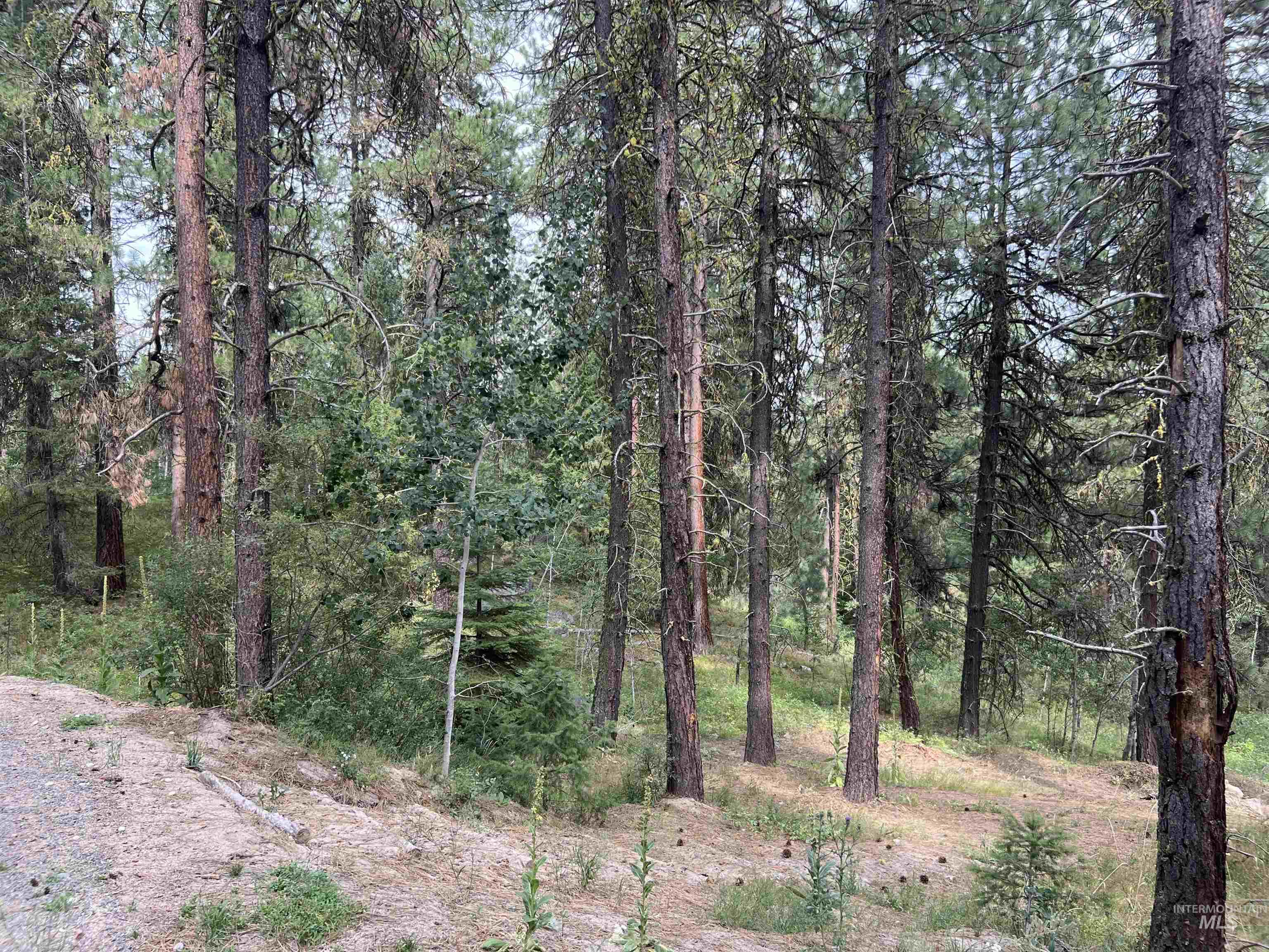 24 Ranch Cir, High Valley, Idaho 83611, Land For Sale, Price $225,000,MLS 98978141