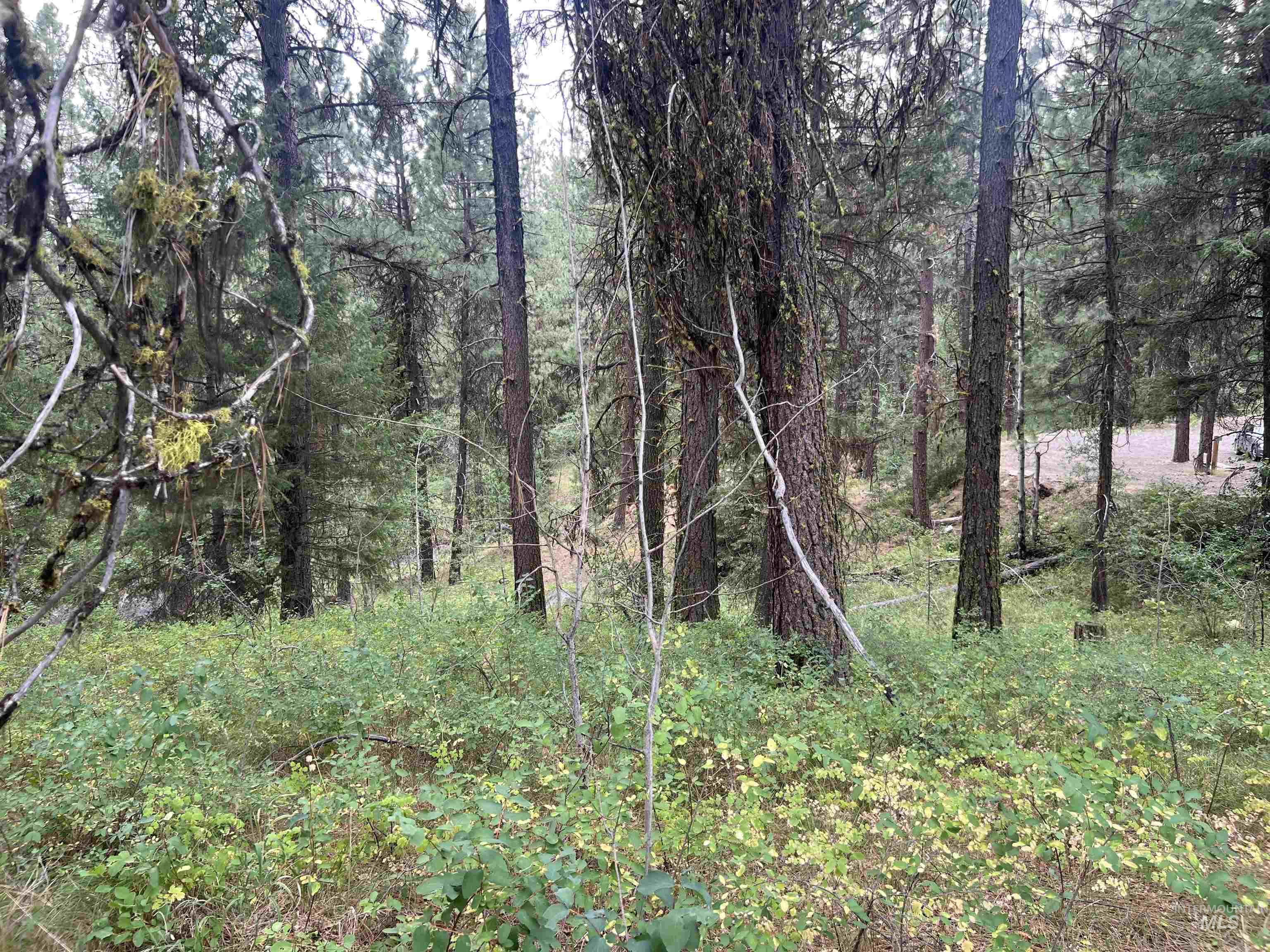 24 Ranch Cir, High Valley, Idaho 83611, Land For Sale, Price $225,000,MLS 98978141