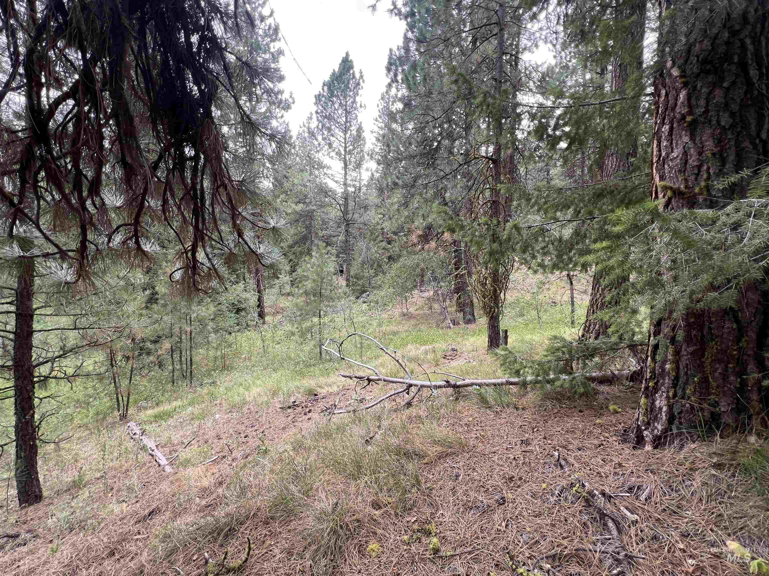 24 Ranch Cir, High Valley, Idaho 83611, Land For Sale, Price $225,000,MLS 98978141