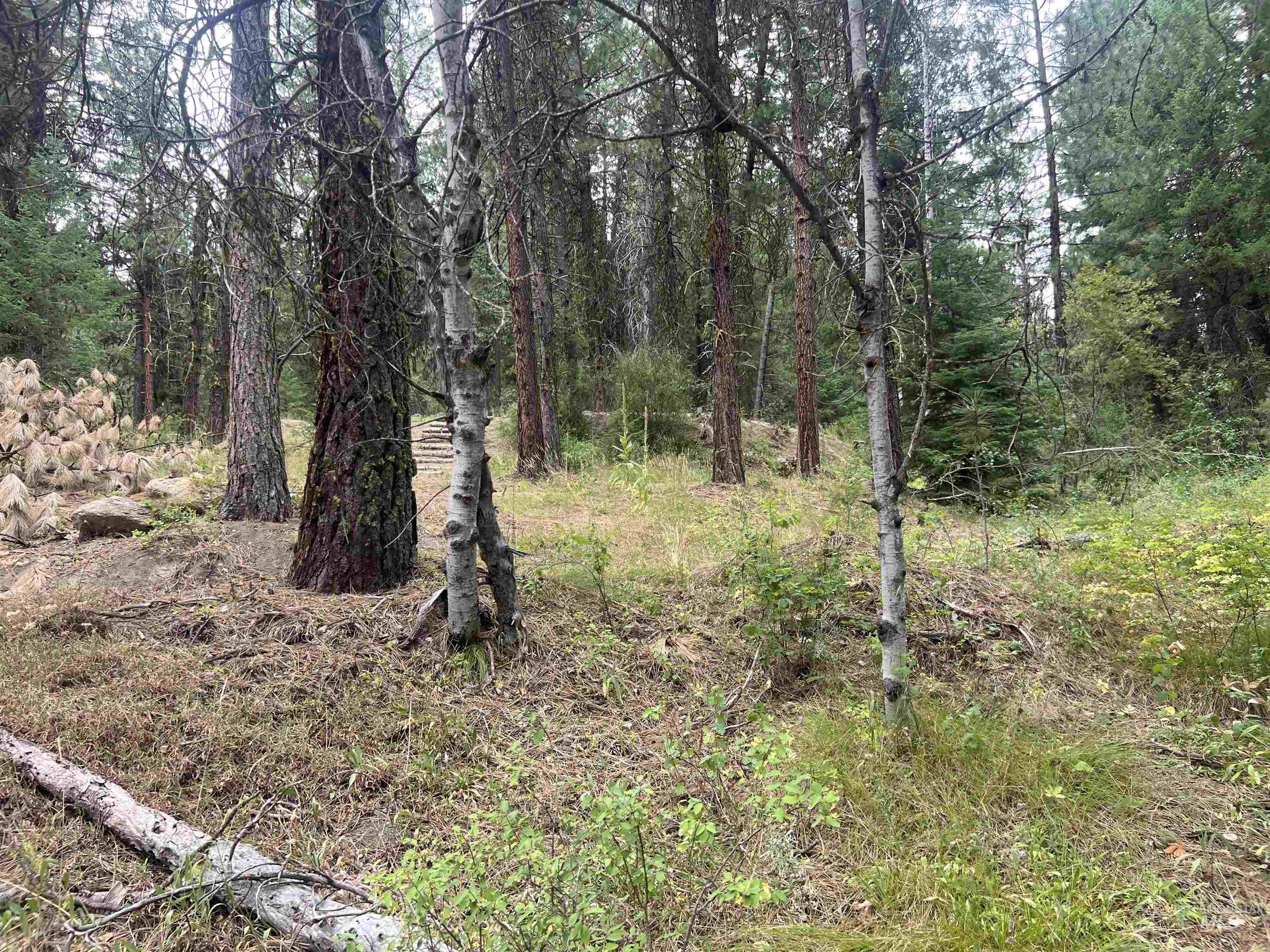 24 Ranch Cir, High Valley, Idaho 83611, Land For Sale, Price $225,000,MLS 98978141