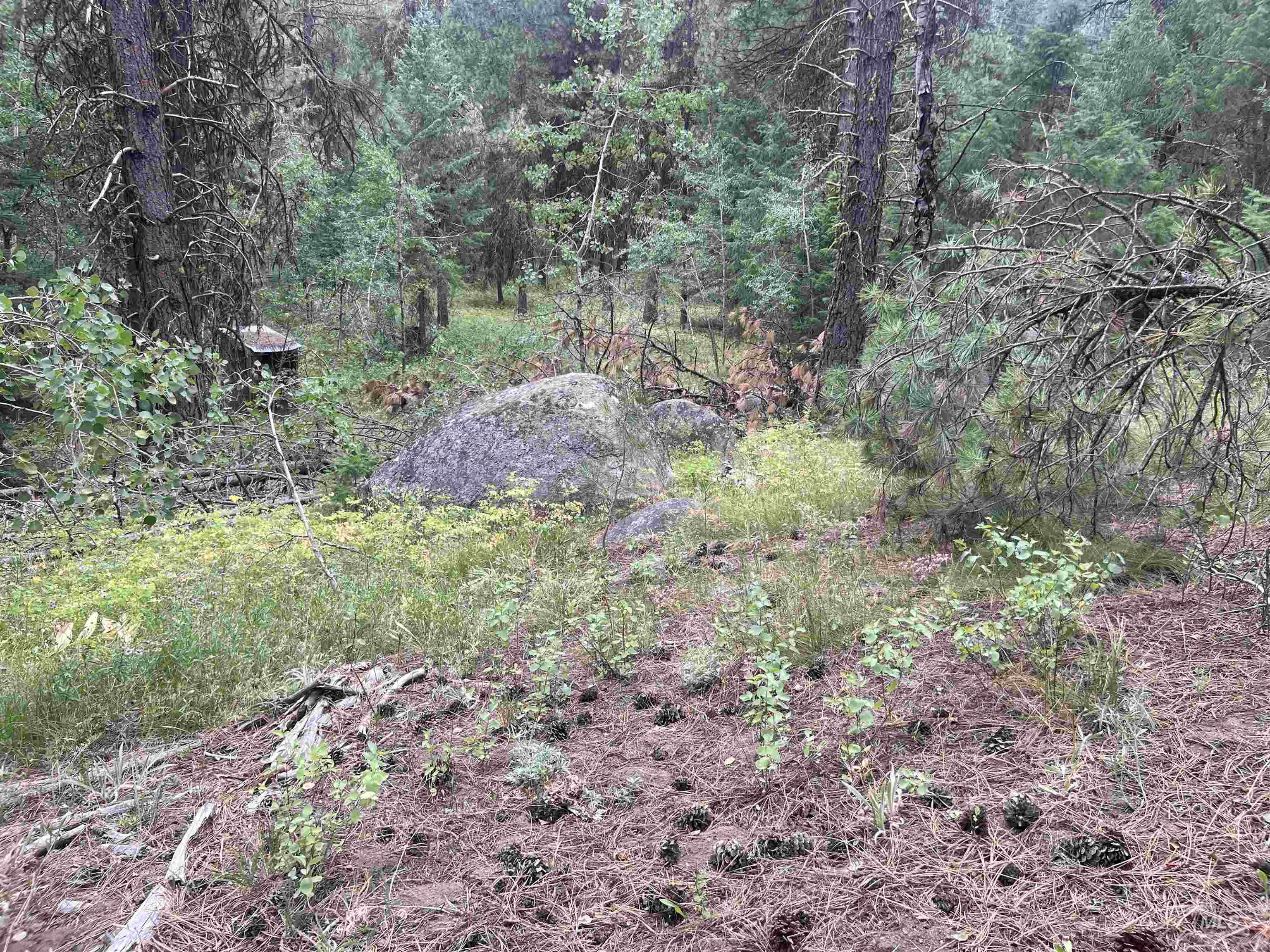 24 Ranch Cir, High Valley, Idaho 83611, Land For Sale, Price $225,000,MLS 98978141